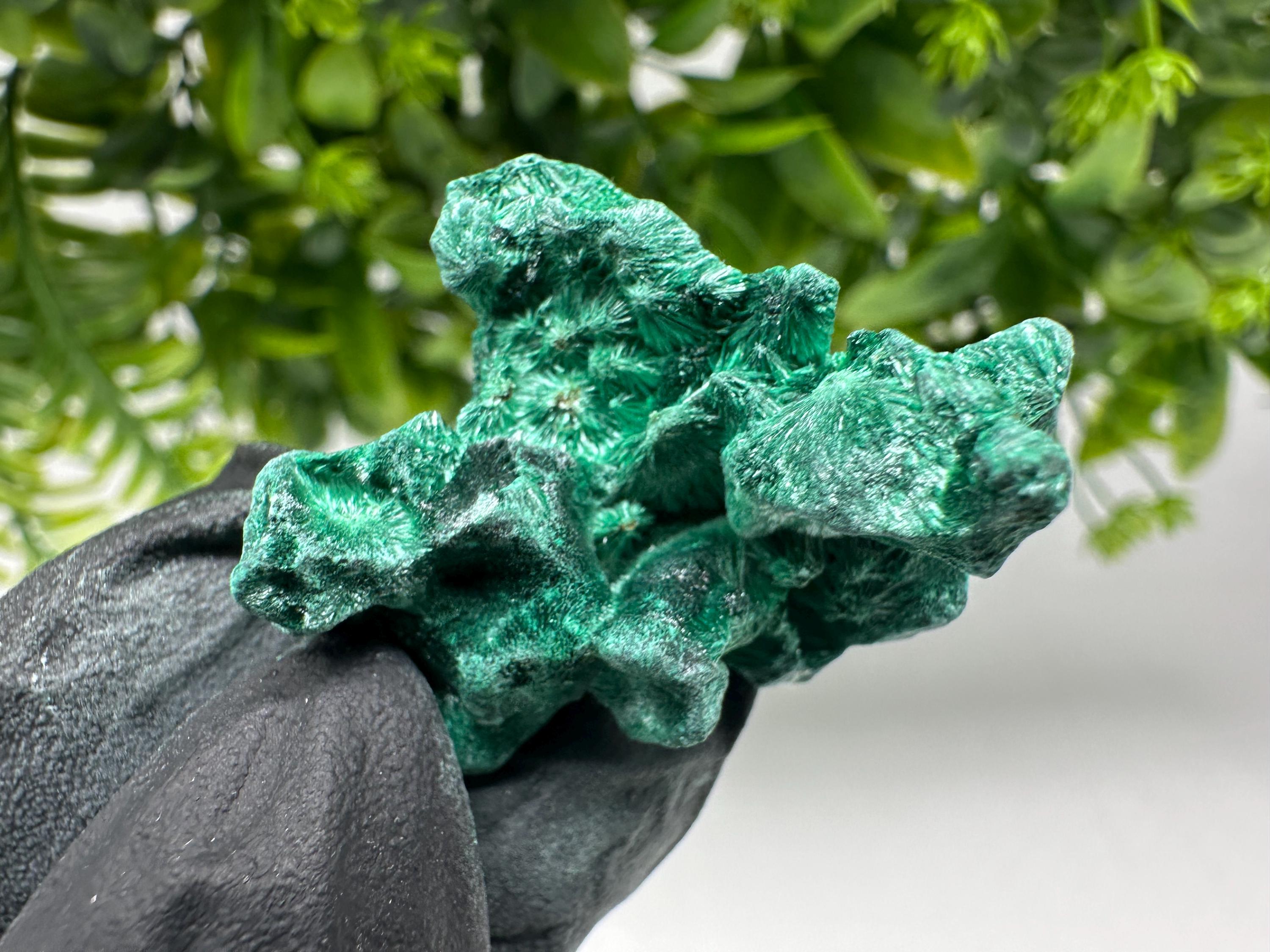 Malachite Crystal from Congo,Minerals,Crystals from Congo,Green Malachite, Malachite,Natural Malachite,Malachite Stone,Chakra, Specimens