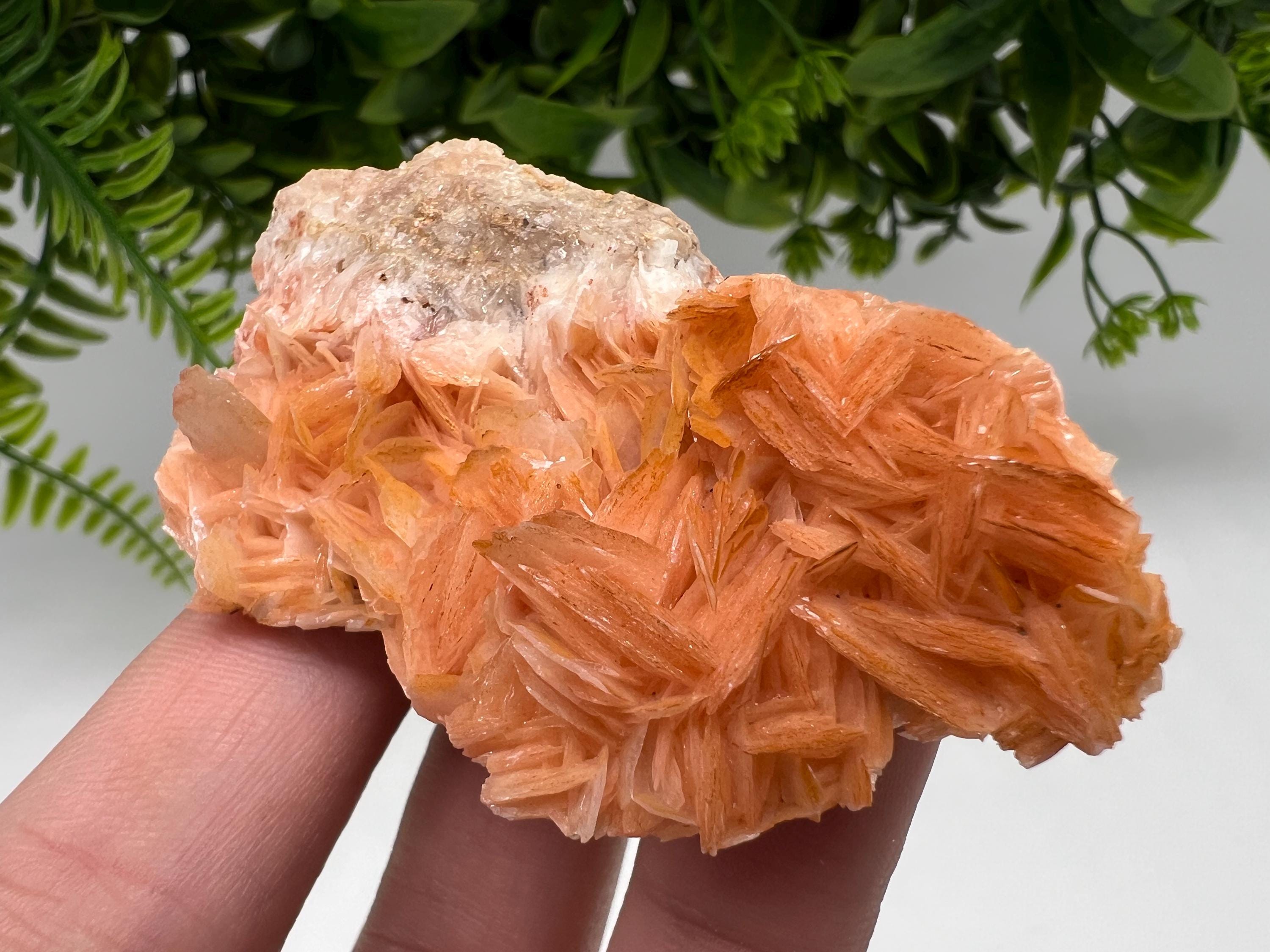 Wonderful Baryte with Cerussite on Galena from Morocco,Crystal, Mineral,Specimen,Cluster,Crystals,Barite Crystal,Cerussite Crystal,Specimen