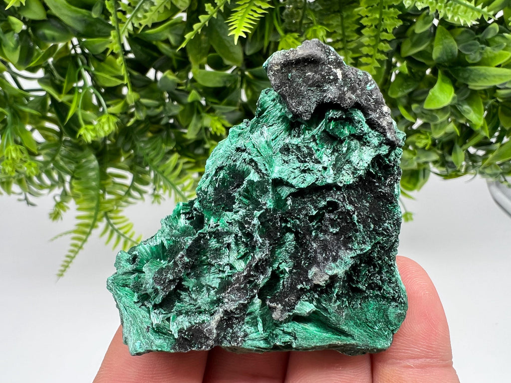 Polished Green Malachite Crystal Specimen from Congo
