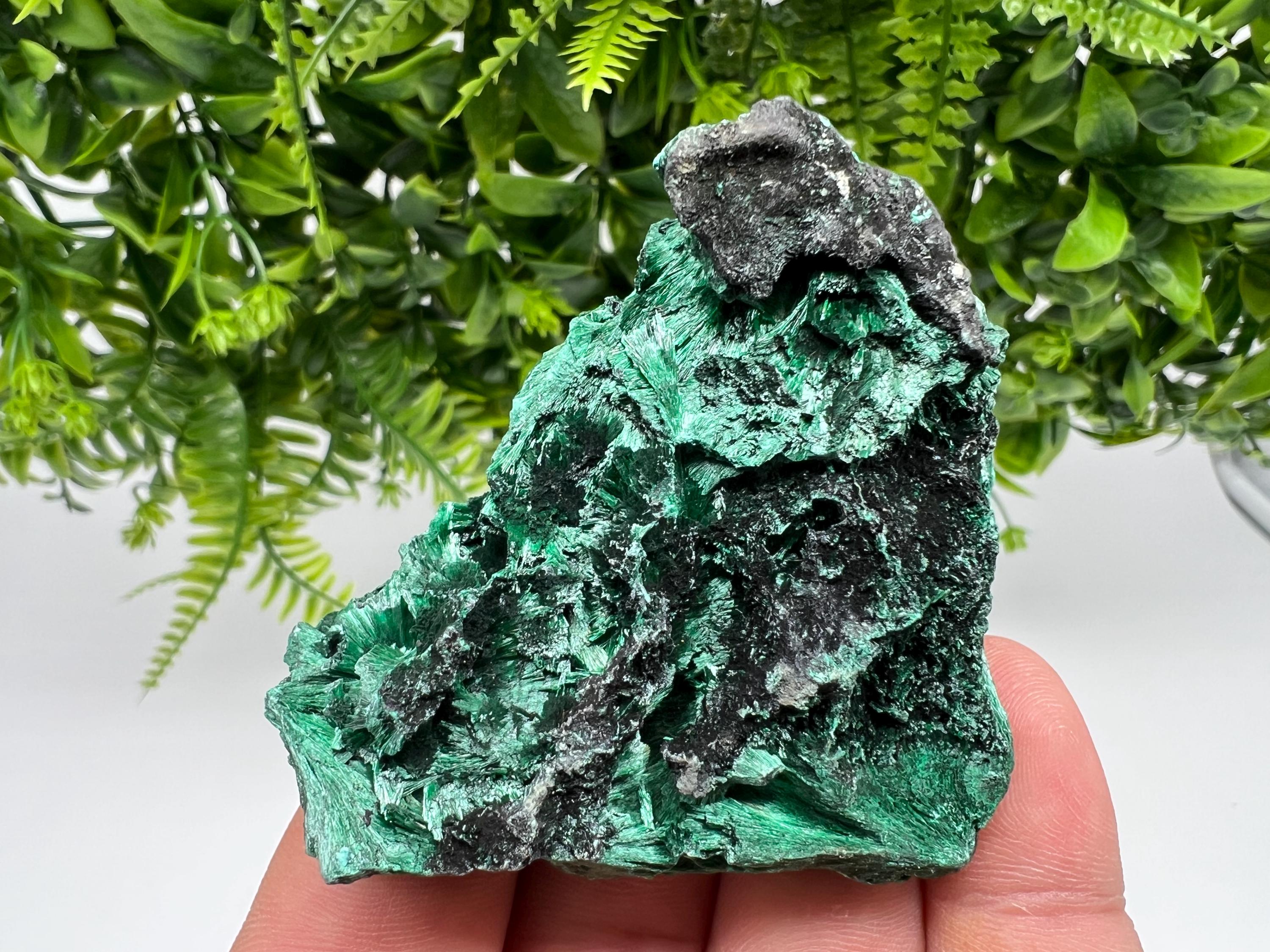 Polished Green Malachite Crystal Specimen from Congo