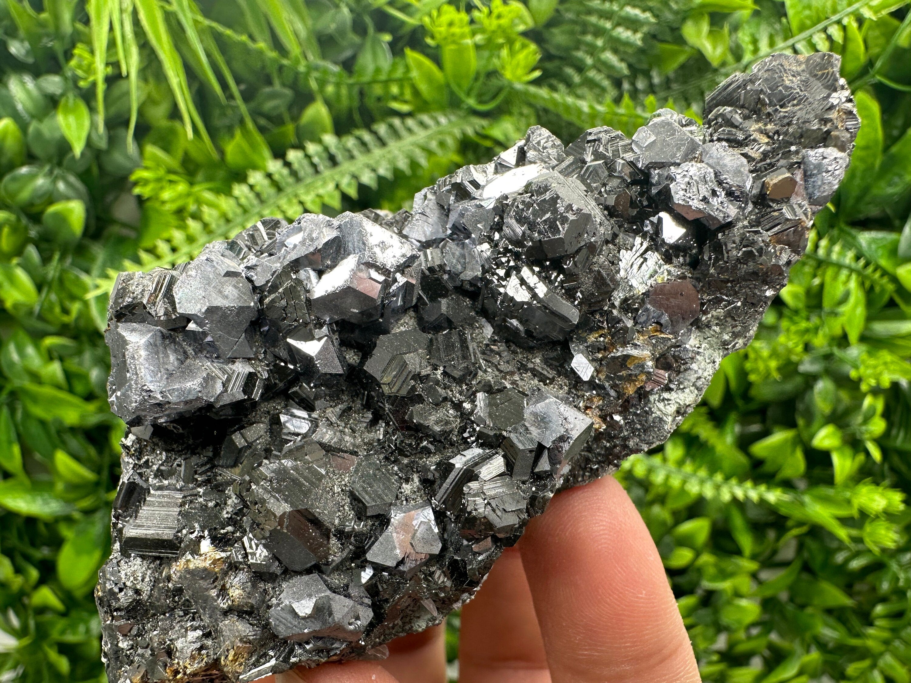 Sphalerite with Galena, Borieva Mine, Bulgaria, Mineral Specimen