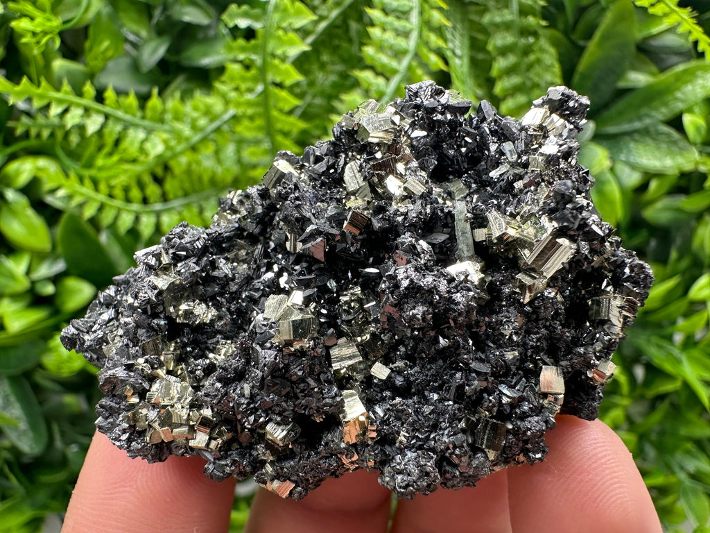 Golden Pyrite with Sphalerite, Borieva Mine Mineral Specimen