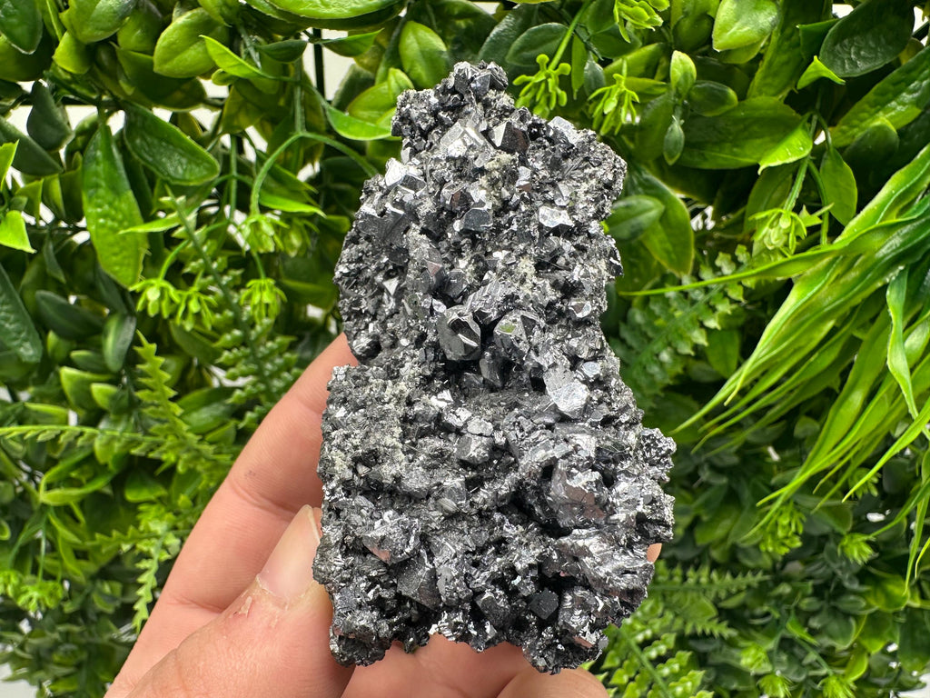 Galena Spinel Law on Sphalerite, Madan Bulgaria Mineral Specimen