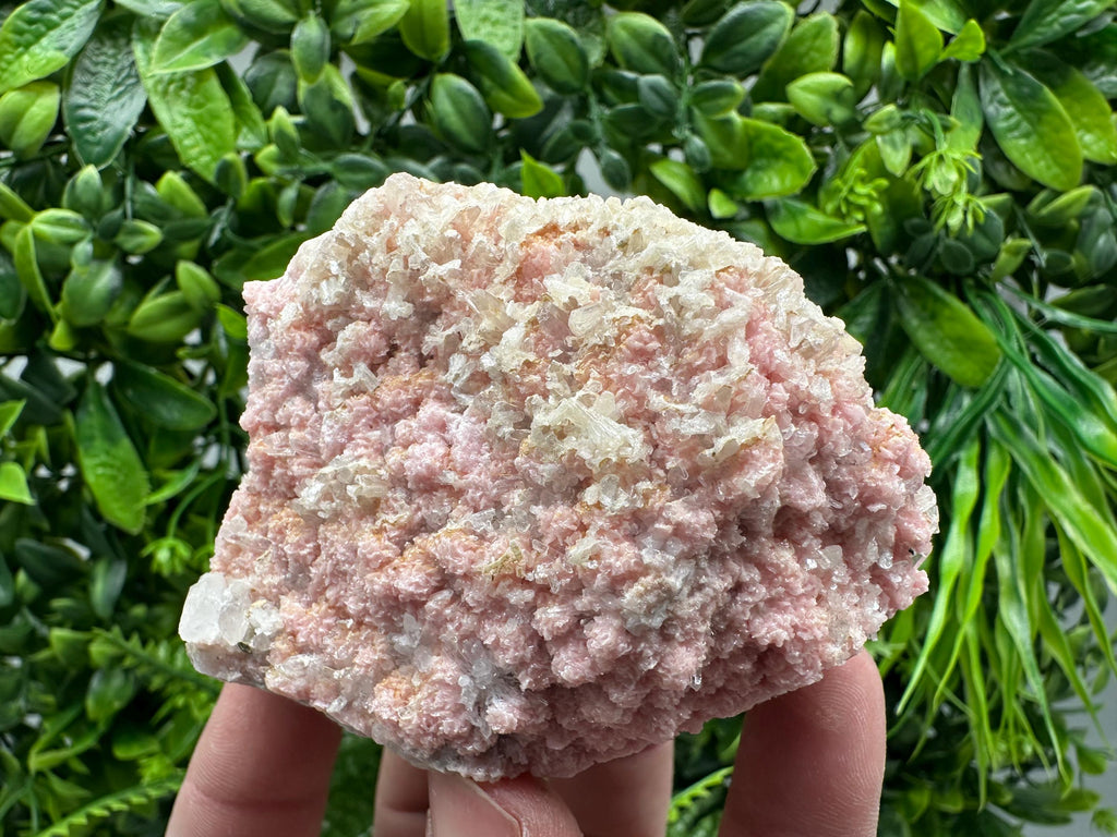 Rhodochrosite on Quartz, Starnica Mine, Bulgaria