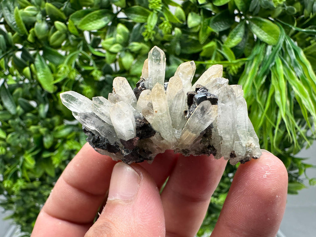 Wonderful Sphalerite Chalcopyrite on Green Quartz whit Hematite feom 9 th September mine,Bulgaria,natural,collection mineral specimen,gift