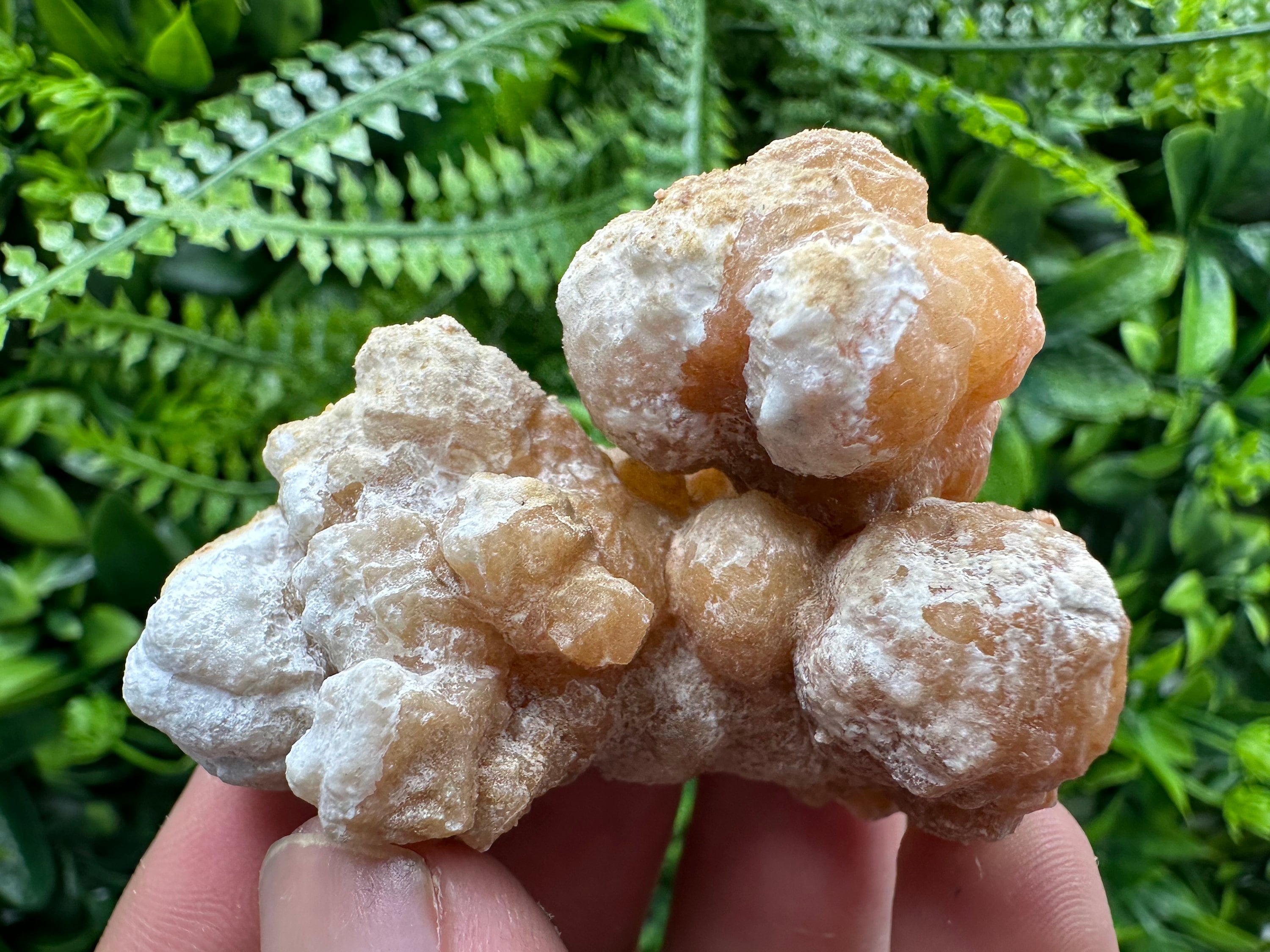 Aragonite Cluster, Dimitrovgrad Bulgaria, Mineral Specimen