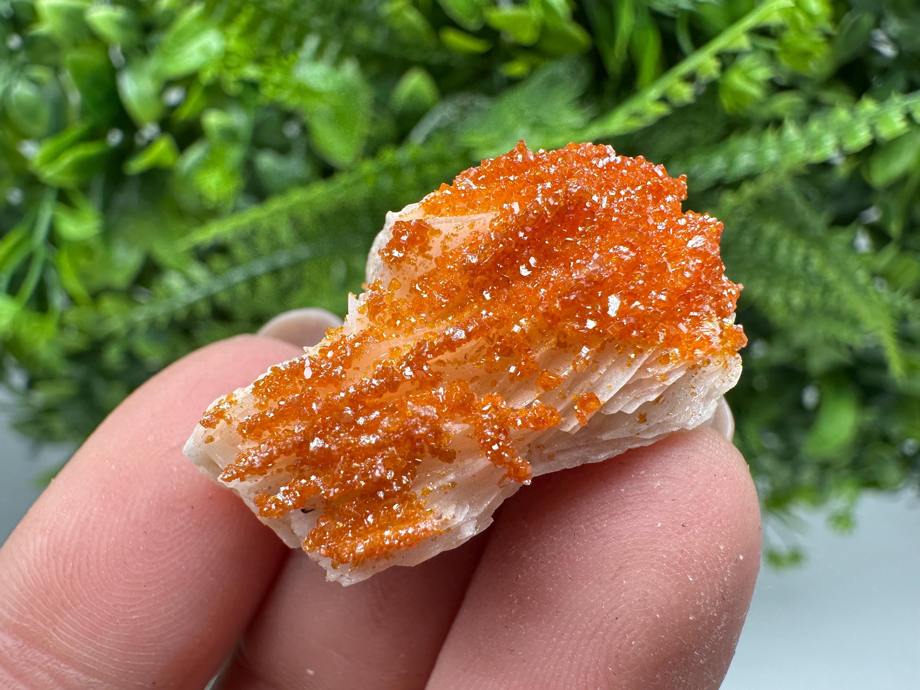 Red Vanadinite on Barite Cluster, Moroccan Crystal Specimen