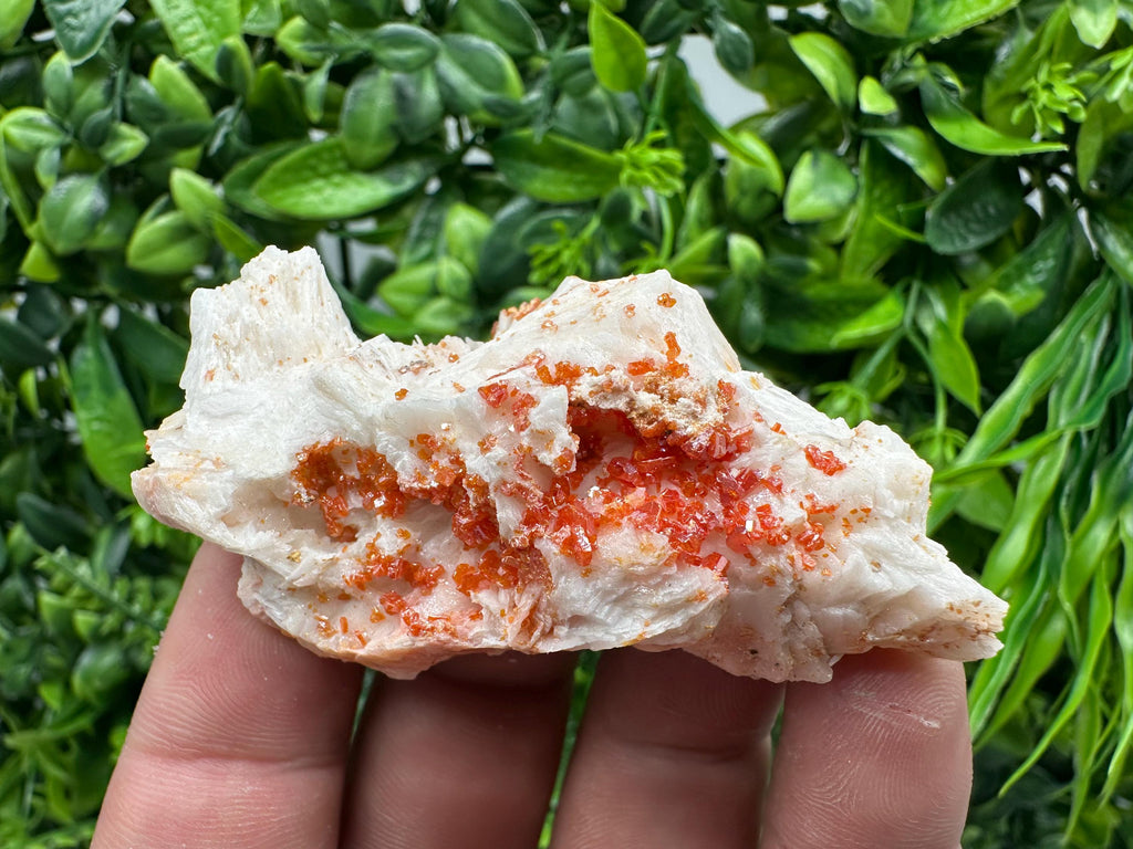 Red Vanadinite on Barite, Moroccan Crystal Mineral Specimen