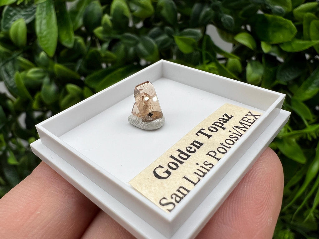 Golden Topaz Crystal, Mexico Mineral Specimen, Collectible
