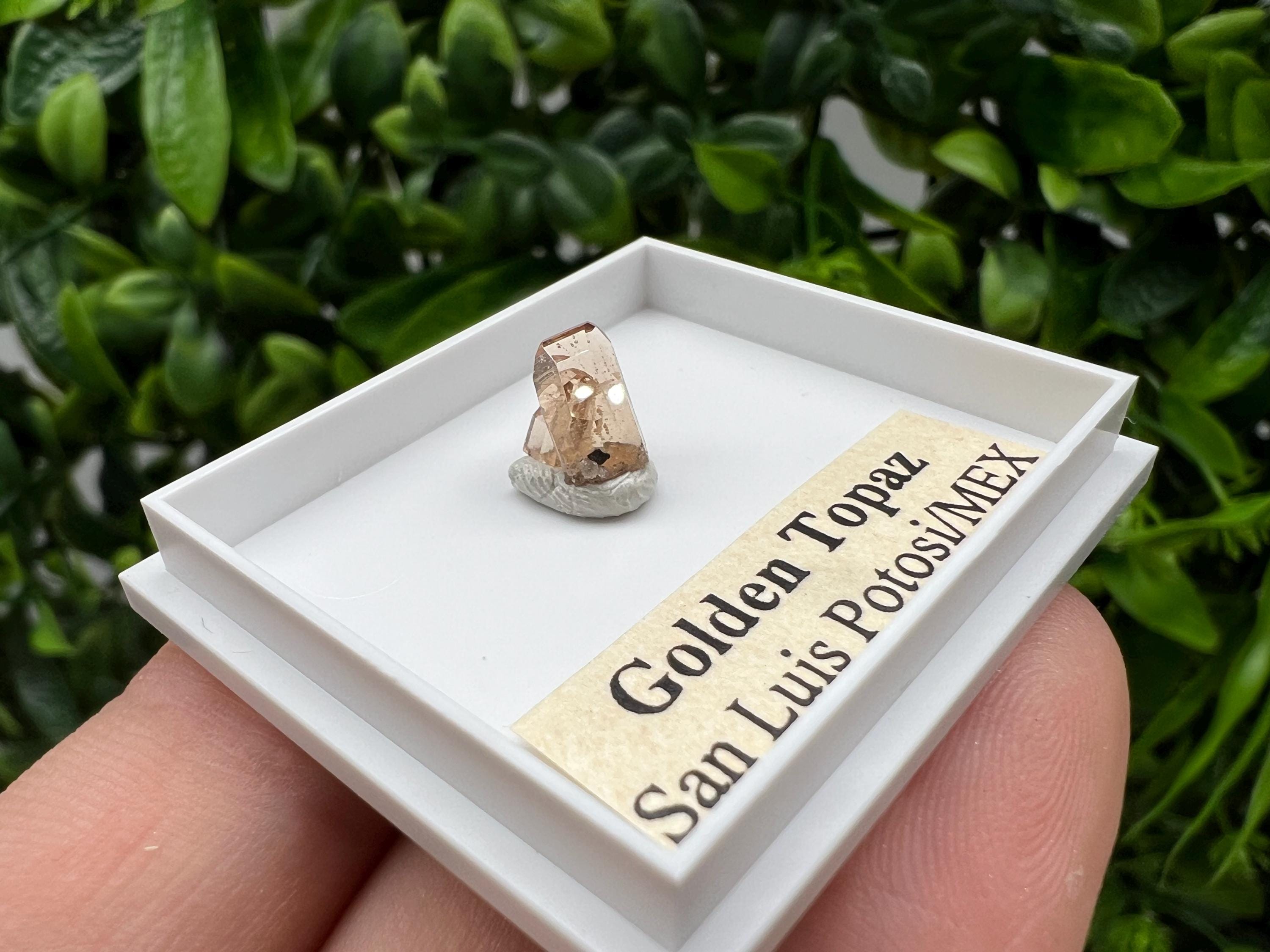 Golden Topaz Crystal, Mexico Mineral Specimen, Collectible