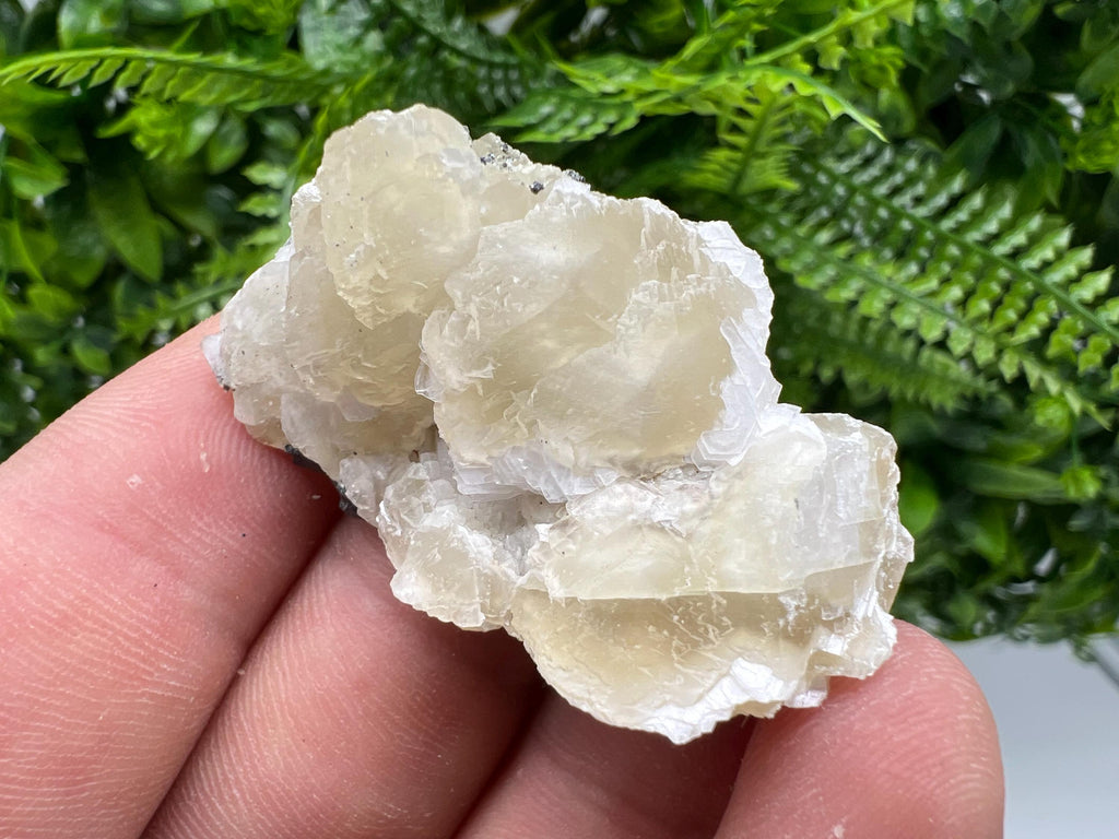 Calcite on Galena Specimen: Borieva Mine, Bulgaria