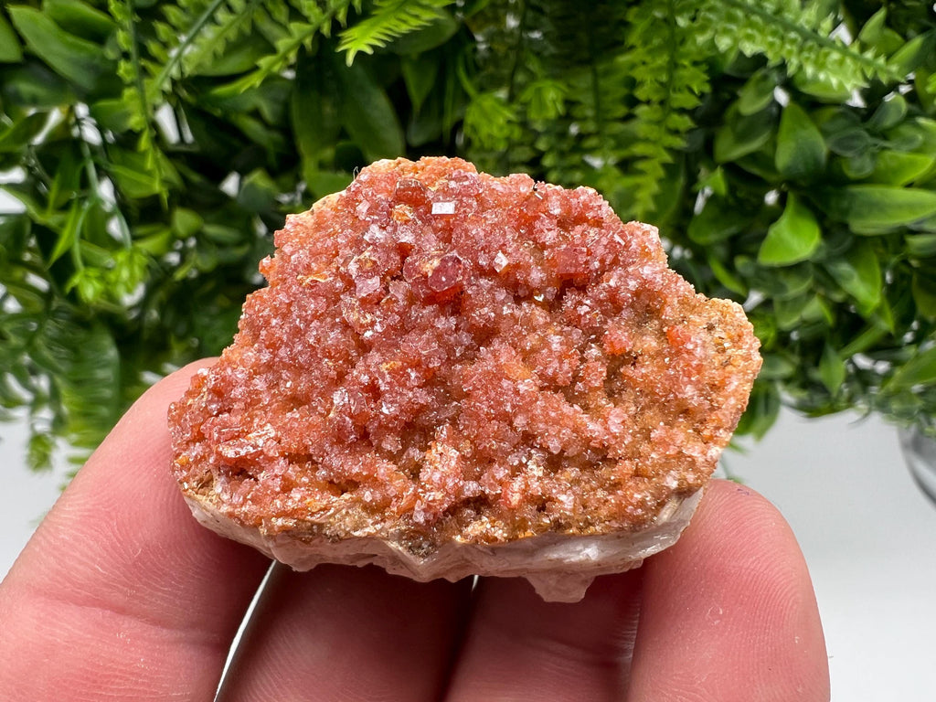 Red Vanadinite on Barite from Marocco,crystal minerals Speciment cluster Vanadinite crystal Vanadinite Geology Vanadinite cluster minerals