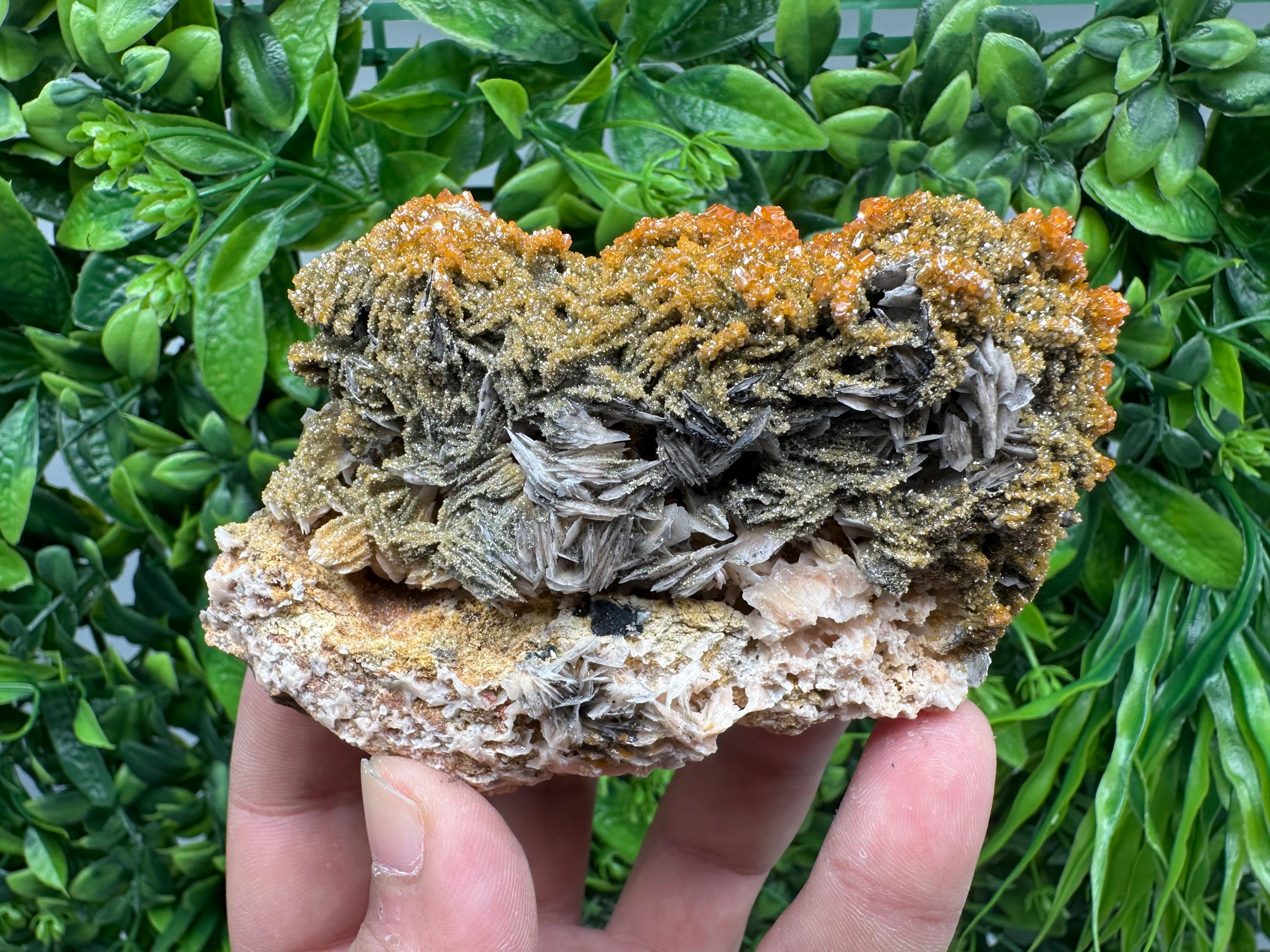 VERY Rare red Vanadinite on Barite whit Goethite from Marocco,crystal minerals Speciment cluster Vanadinite crystal Vanadinite Geology Vanad