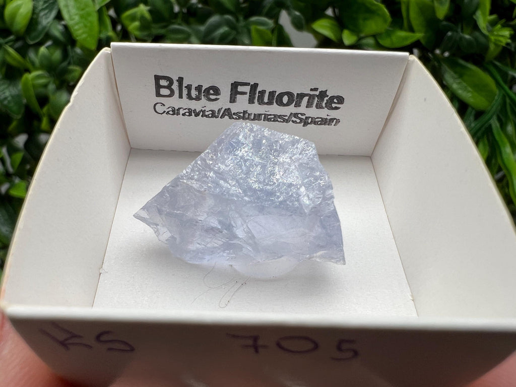 Blue Fluorite Mineral Specimen: Spanish Crystal Collection (2.5/1.5 cm)