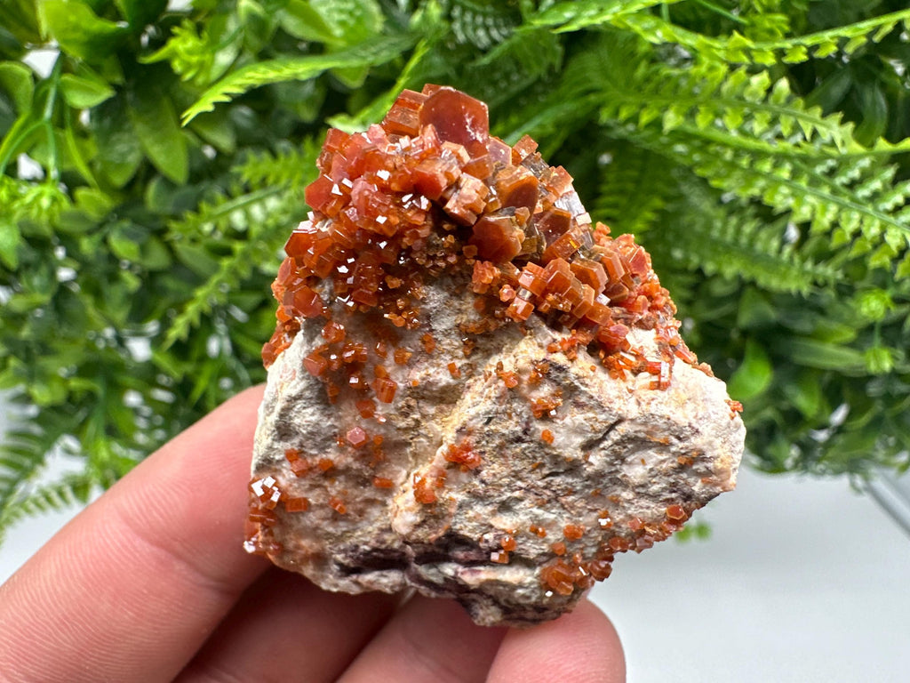 Red Vanadinite on Barite, Moroccan Crystal Specimen