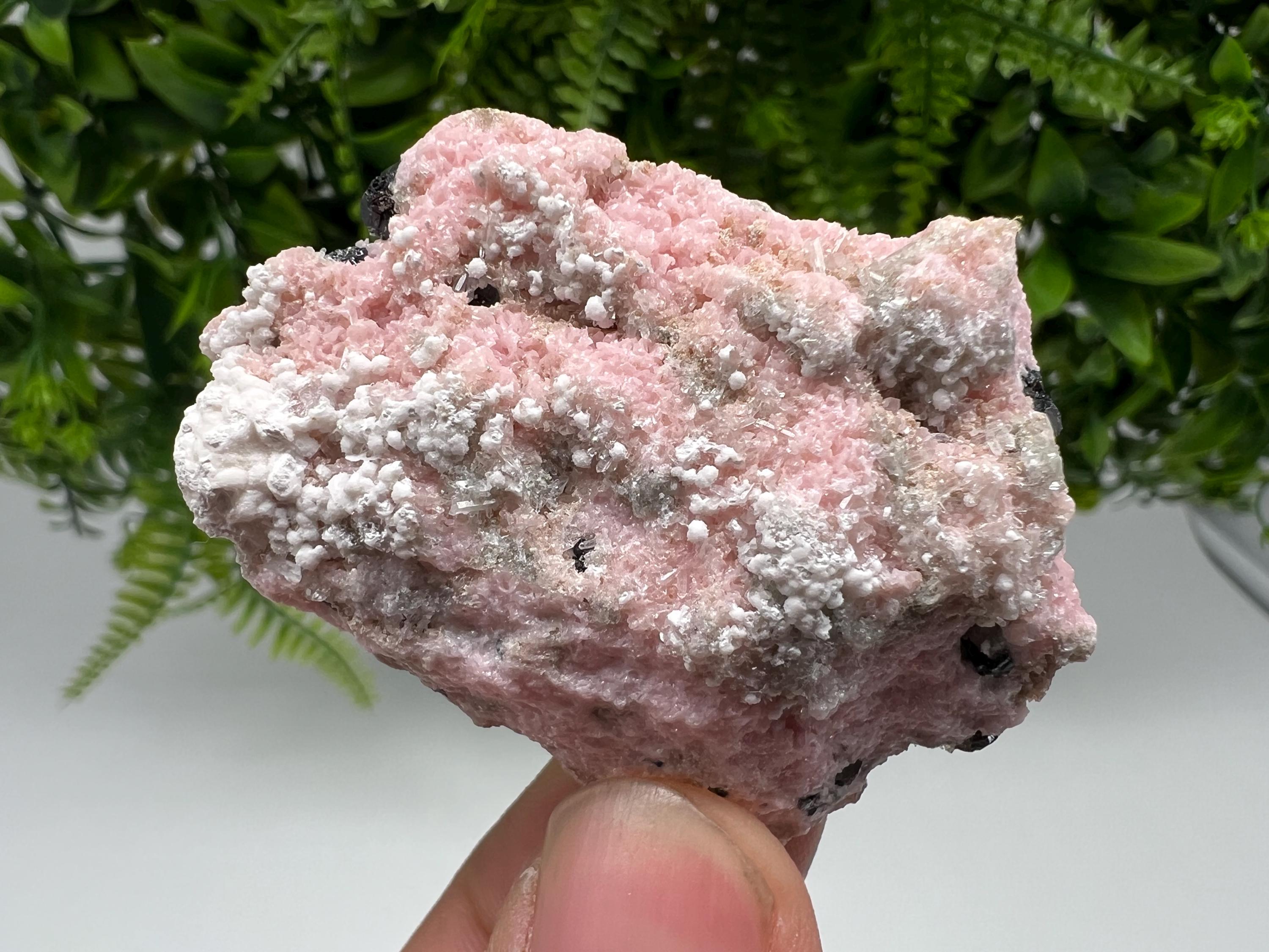 RARE Rhodochrosite with White Calcite, Starnica Mine, Bulgaria