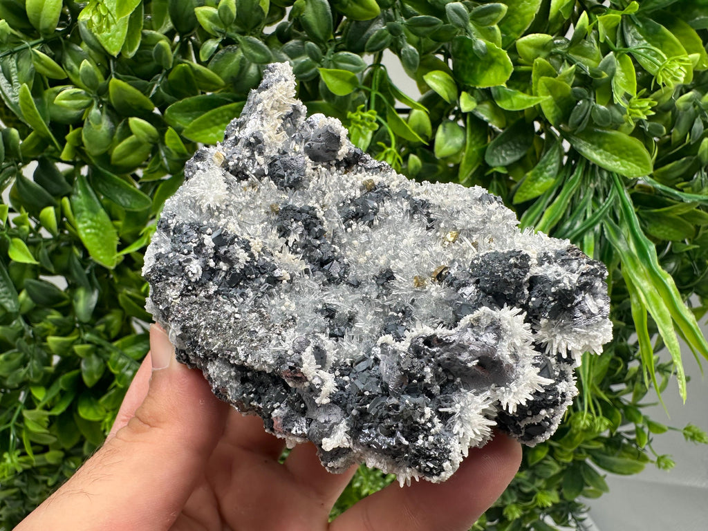 Galena Quartz Pyrite Mineral Specimen: Krushev Dol Mine, Bulgaria