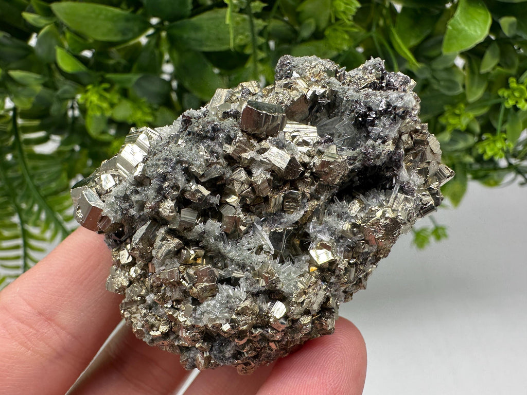 Pyrite on Green Quartz: Rare Mineral Specimen, Borieva Mine