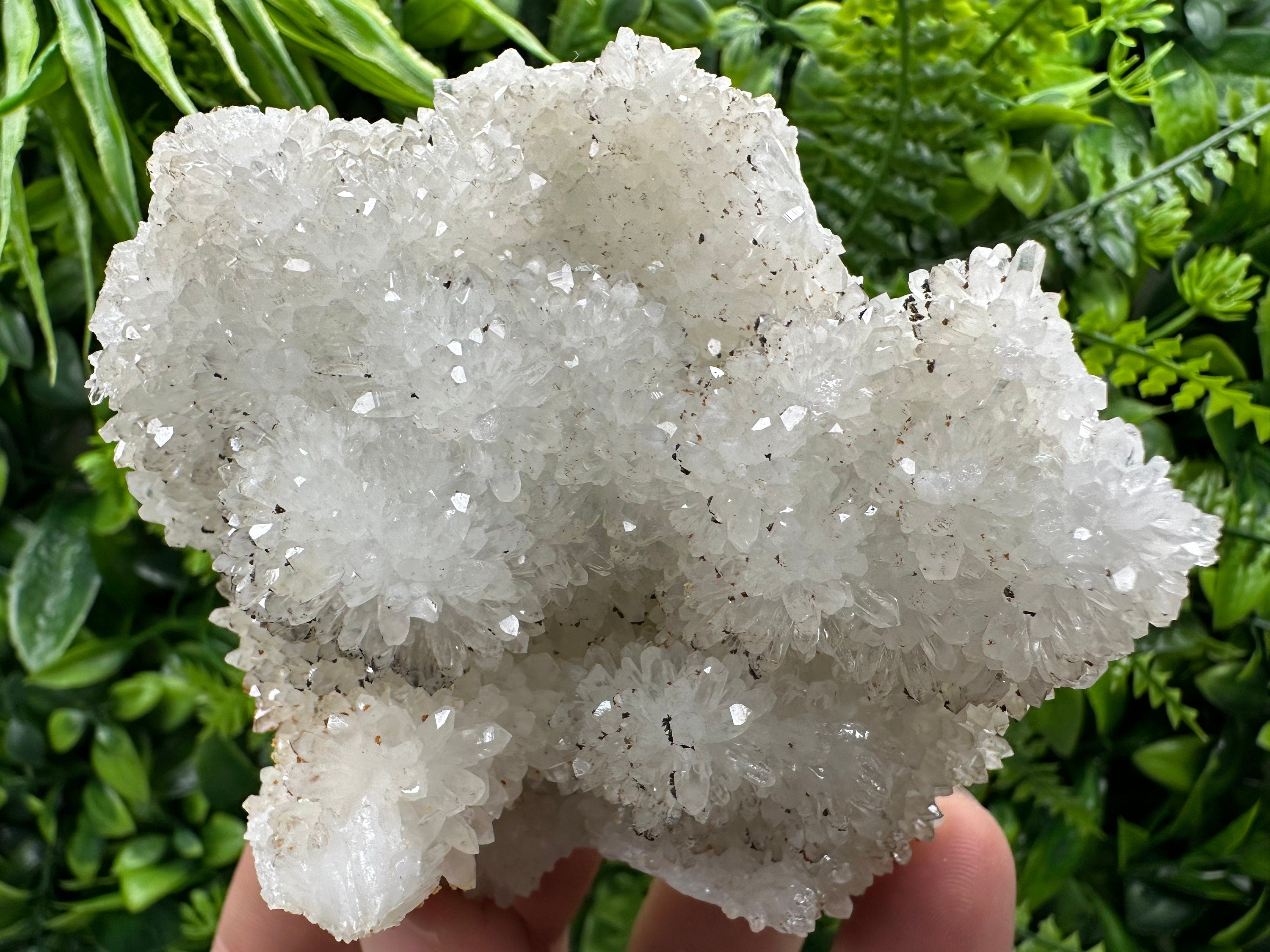 Transparent Quartz Cluster, Natural Minerals, Bulgaria