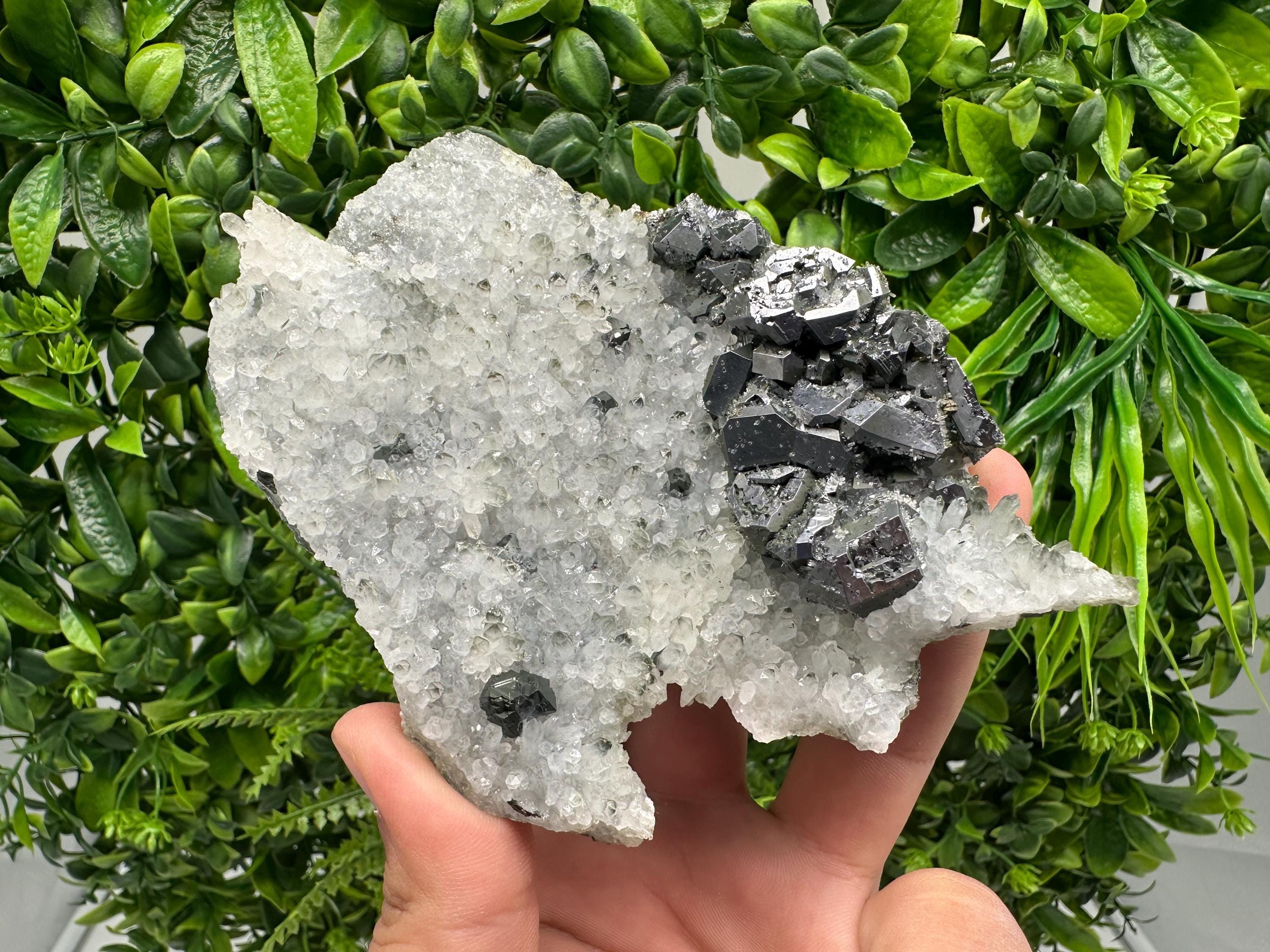 Galena on Quartz Specimen, Cleiophane Mineral, Krushev dol Mine, Bulgaria