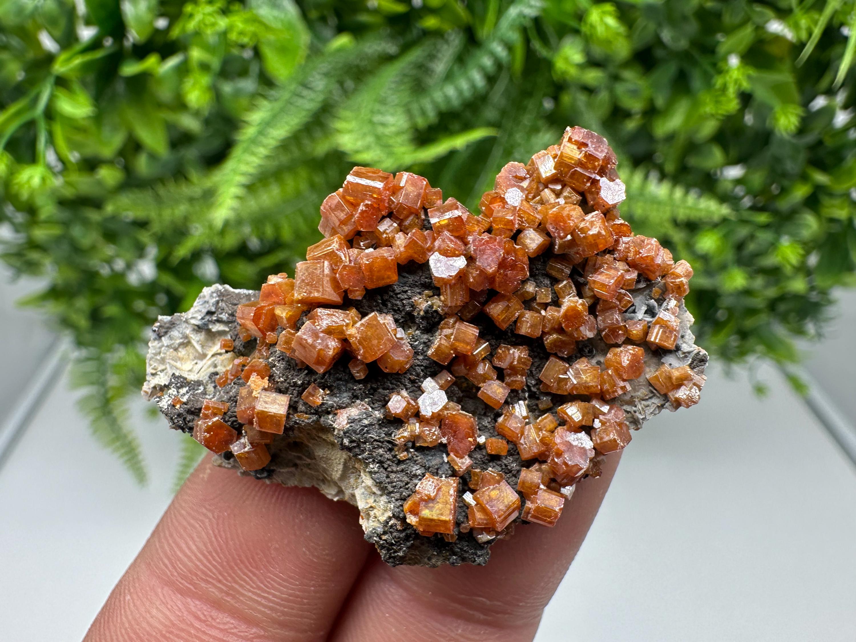 Red Vanadinite on Barite from Marocco,crystal minerals Speciment cluster Vanadinite crystal Vanadinite Geology Vanadinite cluster minerals