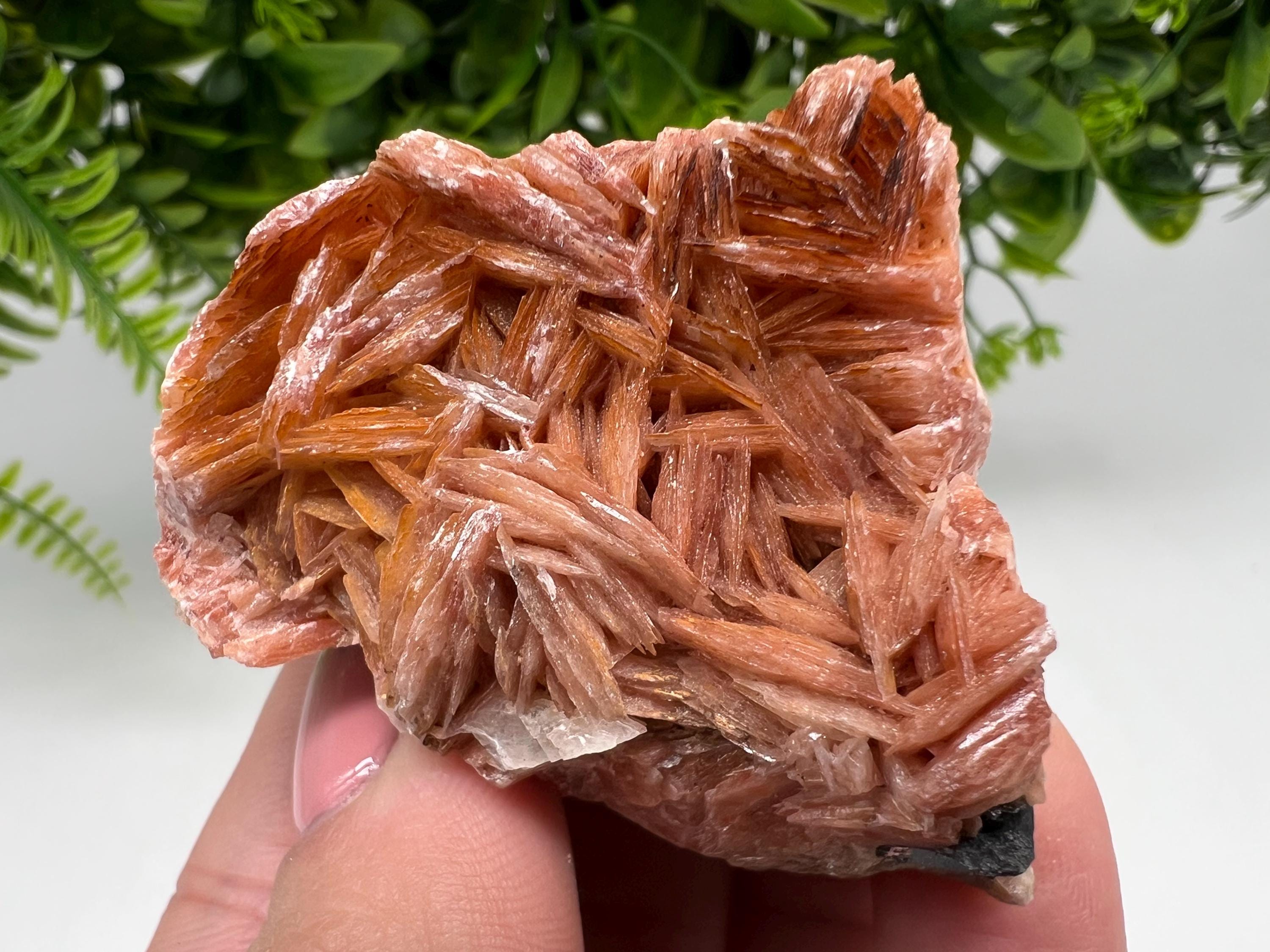 Wonderful Baryte with Cerussite on Galena from Morocco,Crystal, Mineral,Specimen,Cluster,Crystals,Barite Crystal,Cerussite Crystal,Specimen