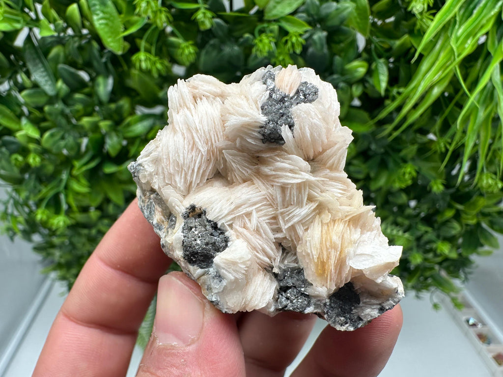 Wonderful Baryte with Cerussite on Galena from Morocco,Crystal, Mineral,Specimen,Cluster,Crystals,Barite Crystal,Cerussite Crystal,Specimen