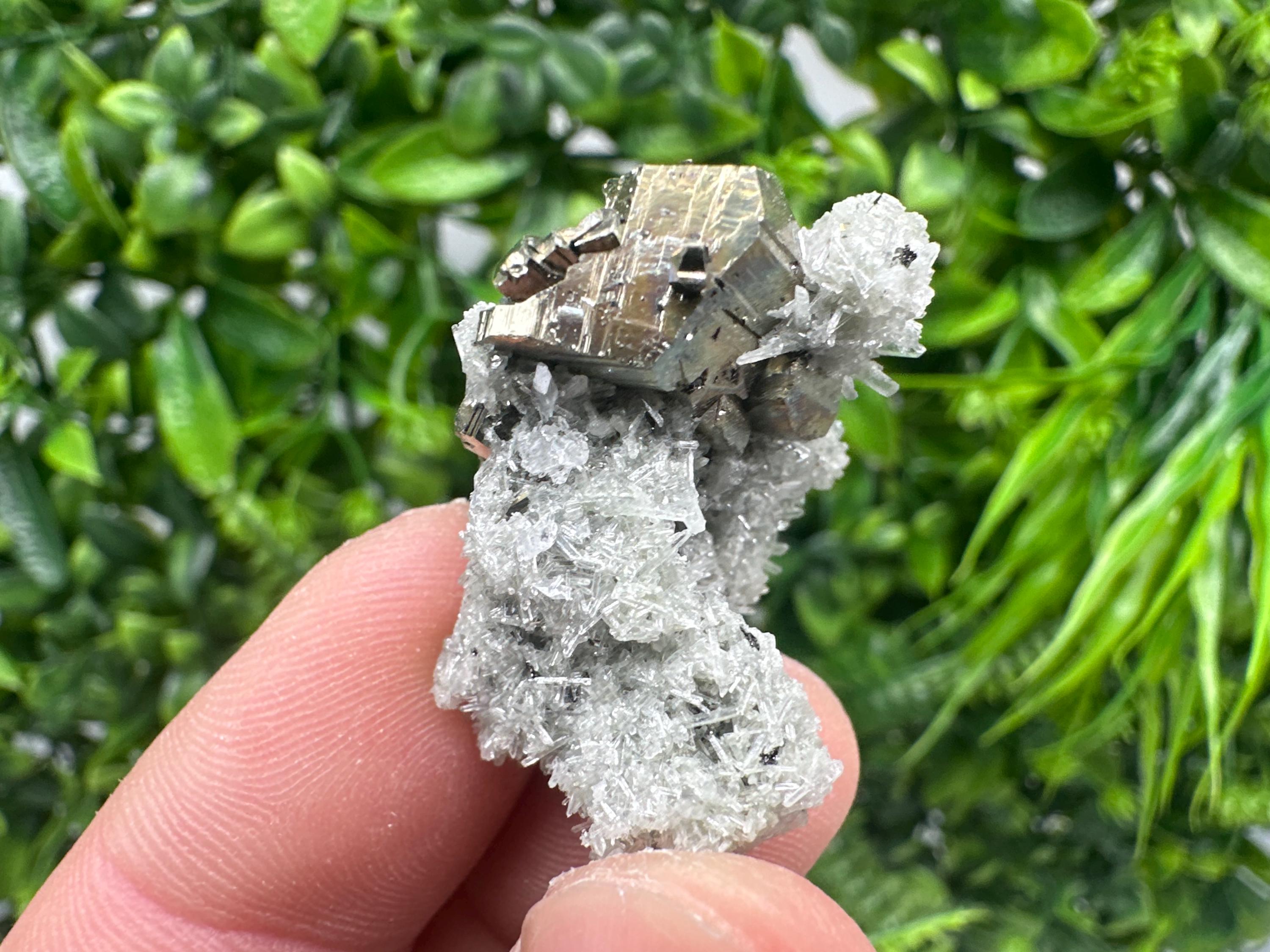 Pyrite on Green Quartz Mineral Specimen from Borieva Mine, Bulgaria
