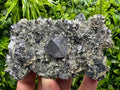 Galena Pyrite Sphalerite on Quartz, Madan Bulgaria Mineral Specimen