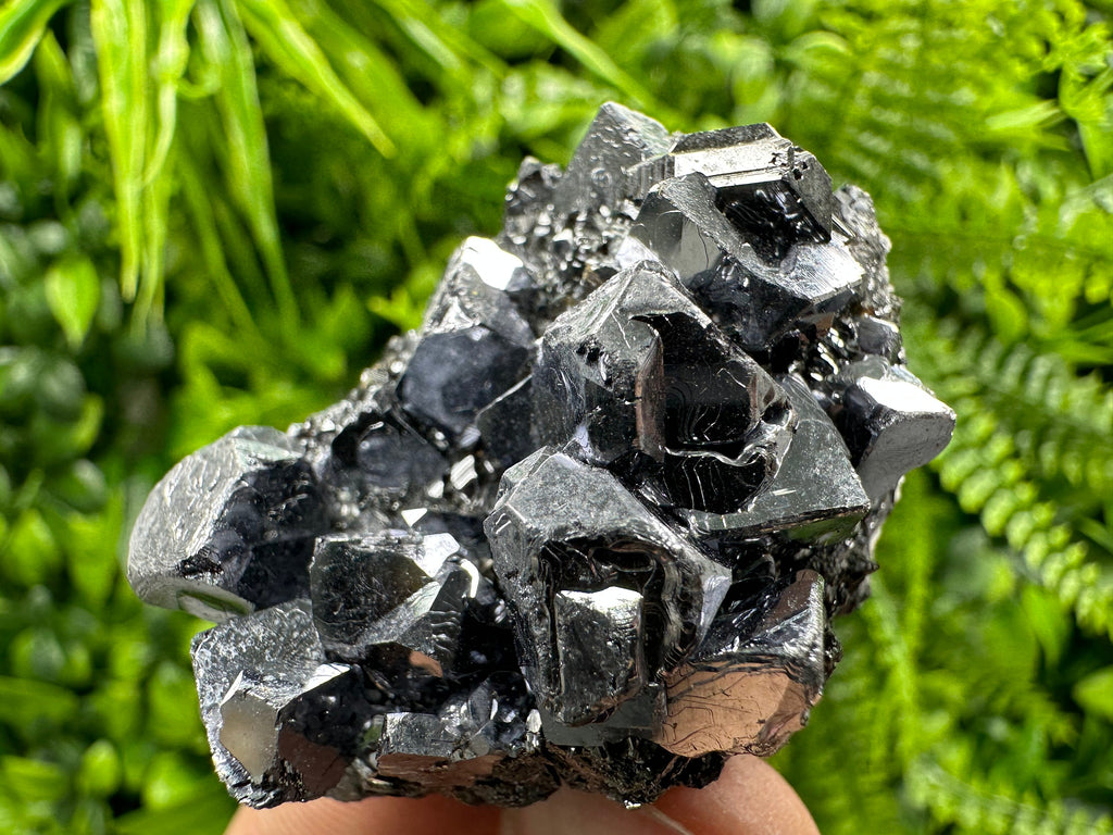 Galena on Sphalerite Specimen - Borieva Mine, Bulgaria