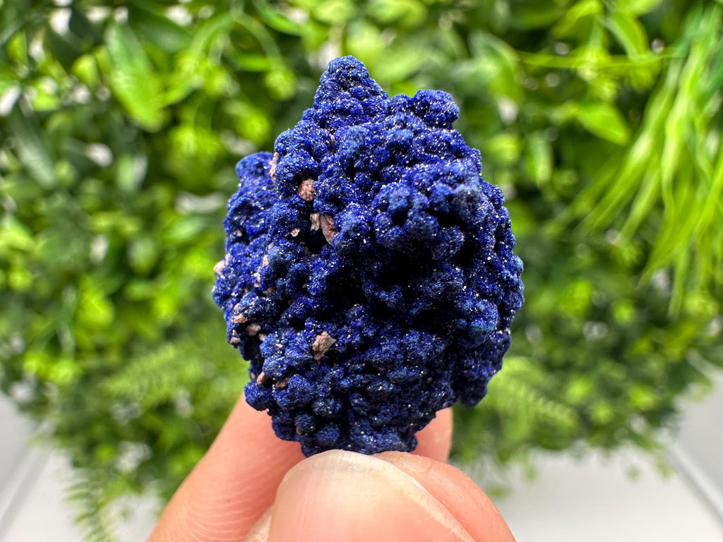 Crystallized Azurite-Kerrouchen,Morocco-Blue Azurite Specimen-High Quality Blue Azurite-Azurite Mineral Specimen, gemmy,lustrous of Azurite