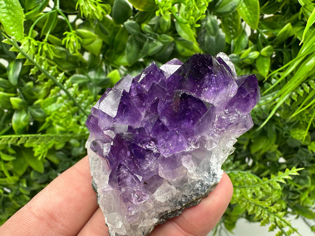 Uruguay Amethyst Cluster: Purple Quartz Crystal, Home Decor