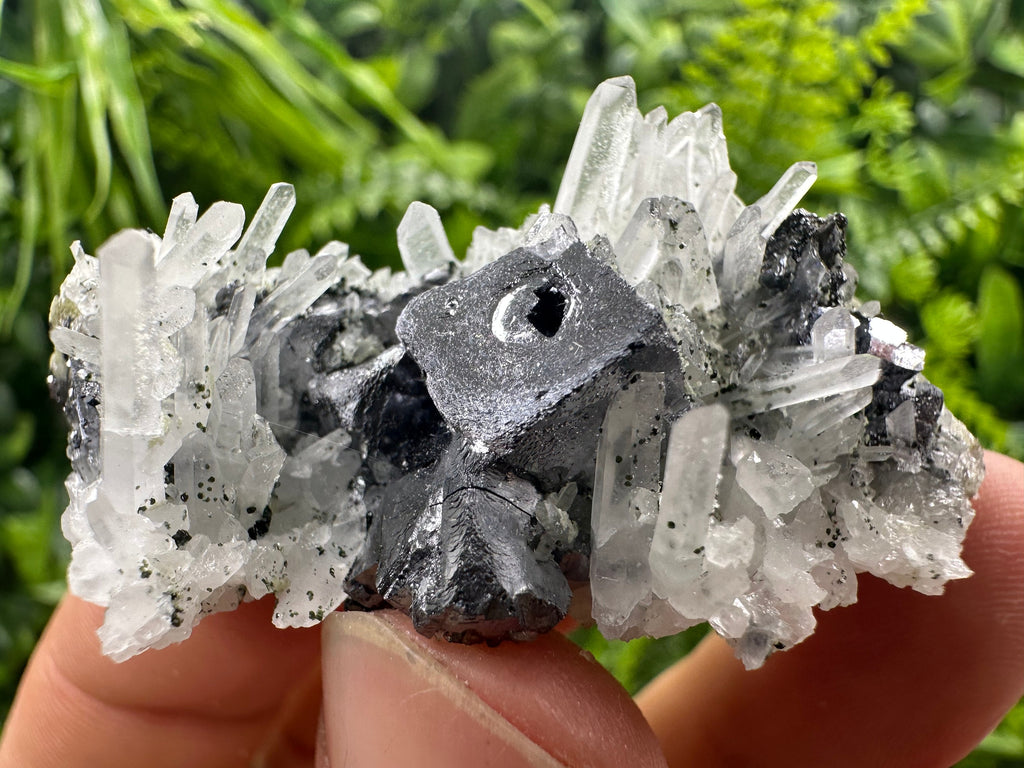 Galena on Quartz Mineral Specimen, Bulgaria Origin