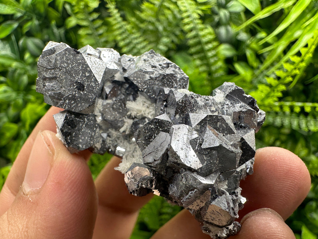 Shiny Galena on Quartz, Borieva Mine, Bulgaria
