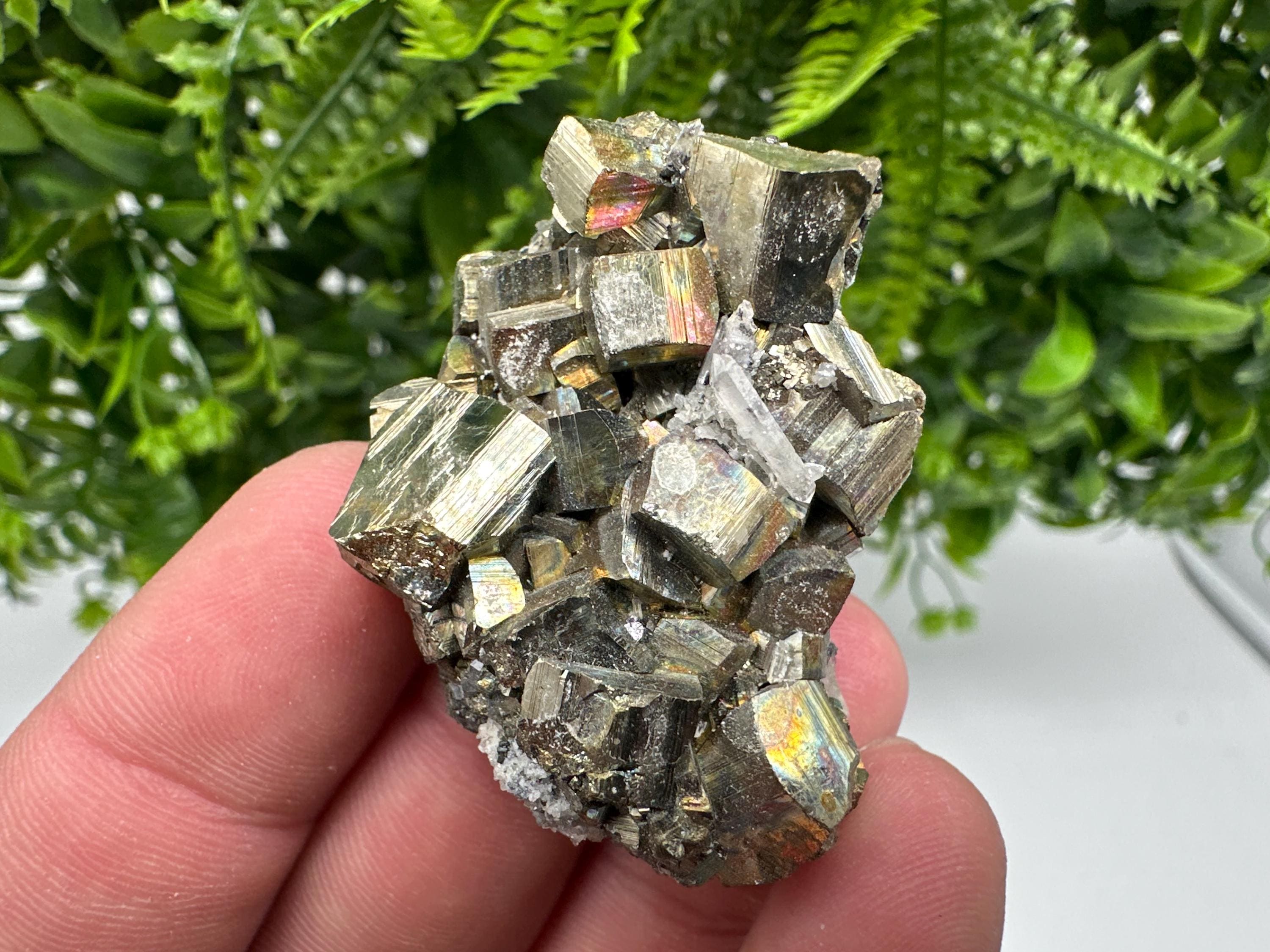 Rare Rainbow Pyrite Cluster: Borieva Mine, Bulgaria