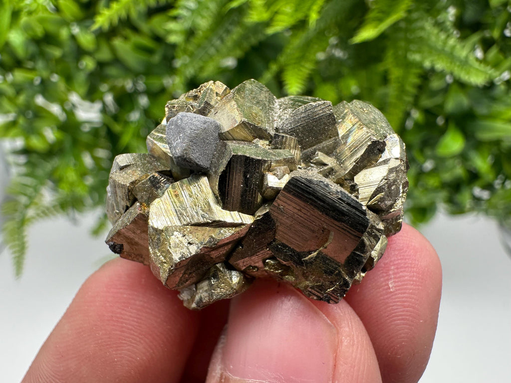 Rare crystallisation Pyrite,Borieva mine,Bulgaria,floating Pyrite,golden Pyrite,Pyrite cluster,mini Collection specimen,Rainbow Pyrite