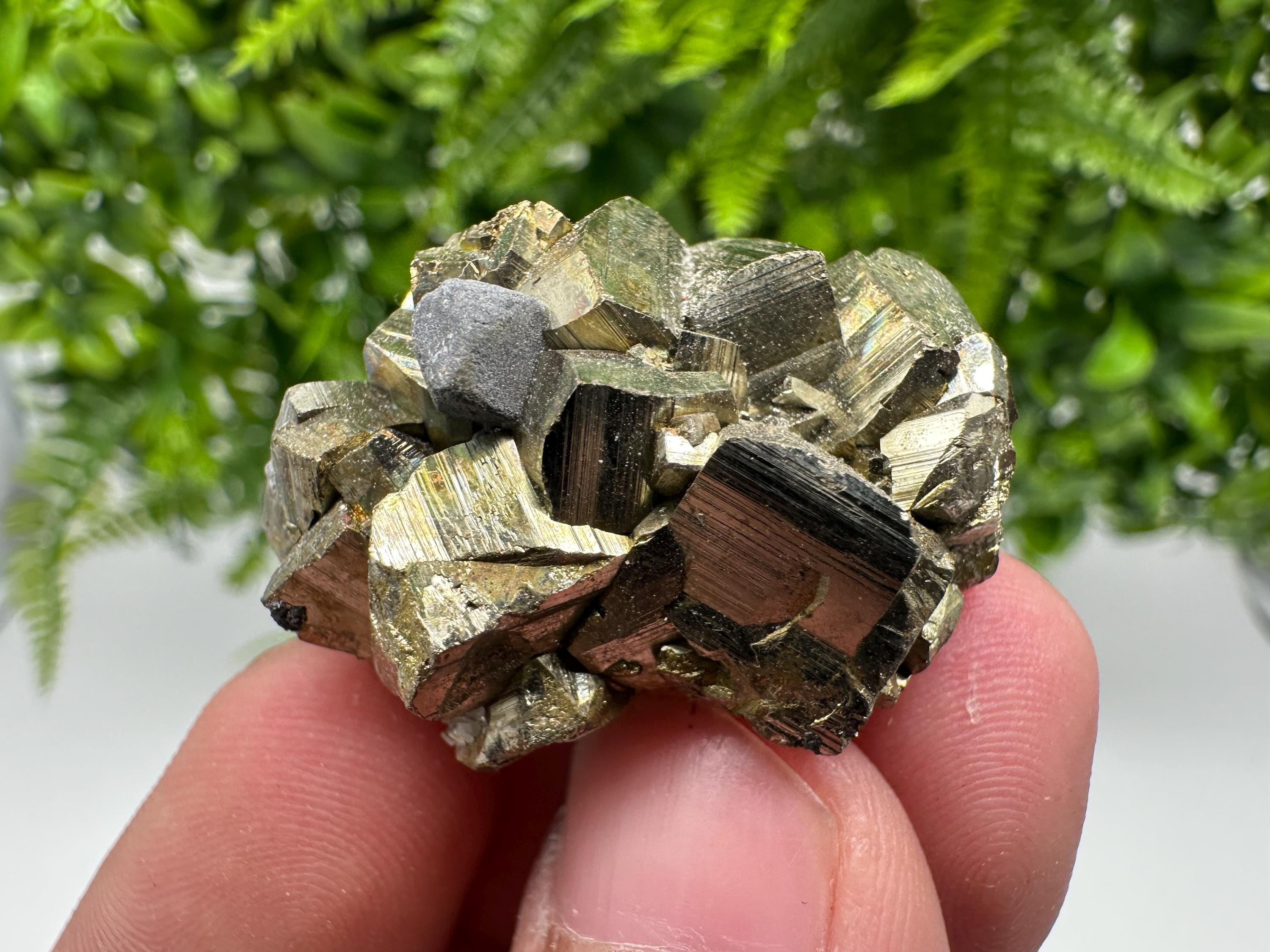 Rare crystallisation Pyrite,Borieva mine,Bulgaria,floating Pyrite,golden Pyrite,Pyrite cluster,mini Collection specimen,Rainbow Pyrite