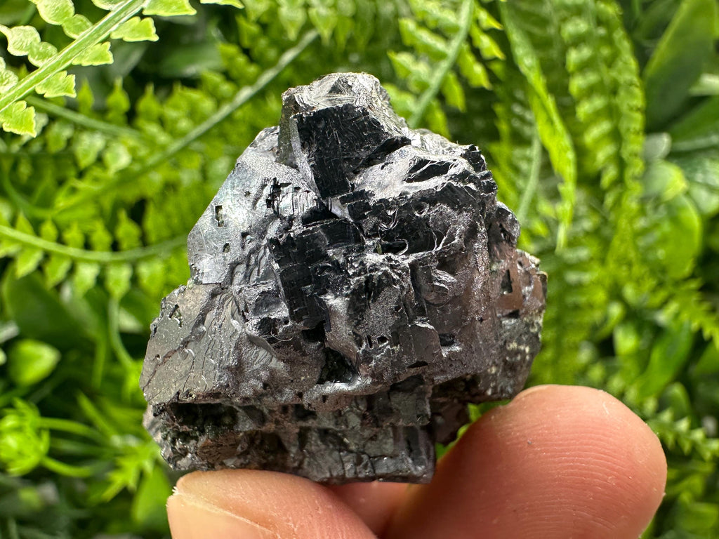 Galena with Black Sphalerite, Natural Minerals Souvenir from Borieva Bulgaria