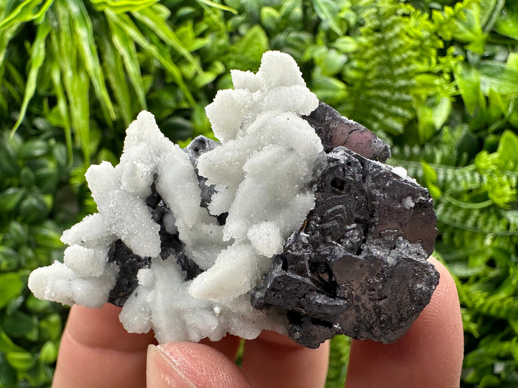 Rare Calcite on Galena: Borieva Mine, Bulgaria