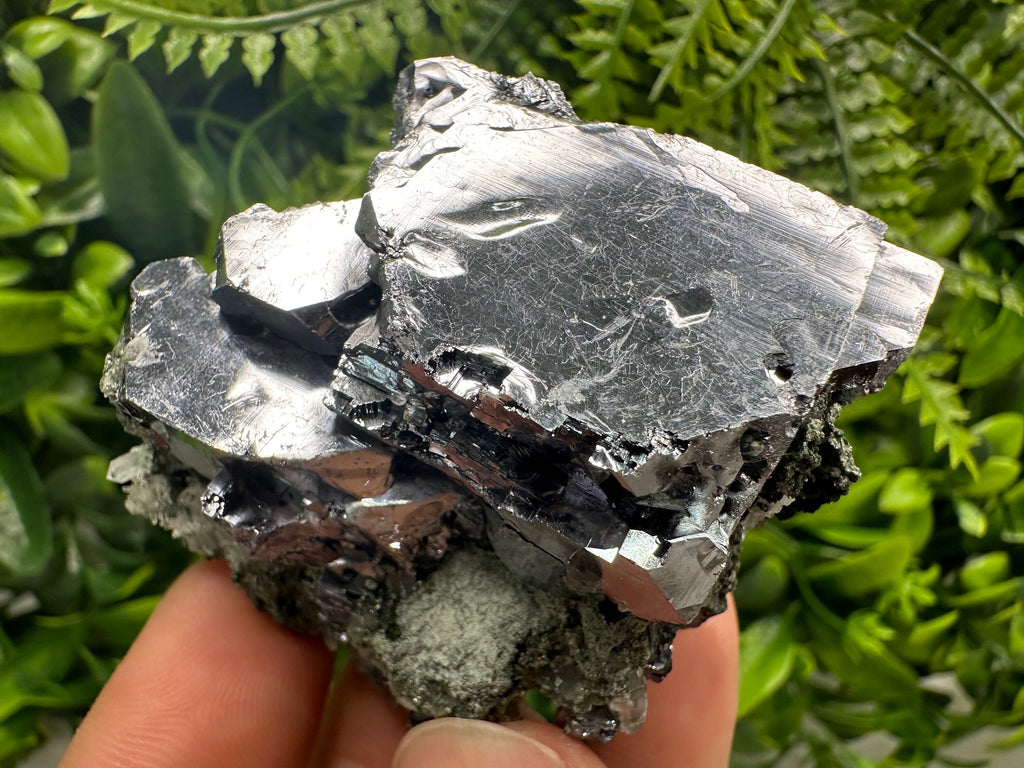 Mirror Galena on Quartz with Chlorite, Borieva Mine, Bulgaria