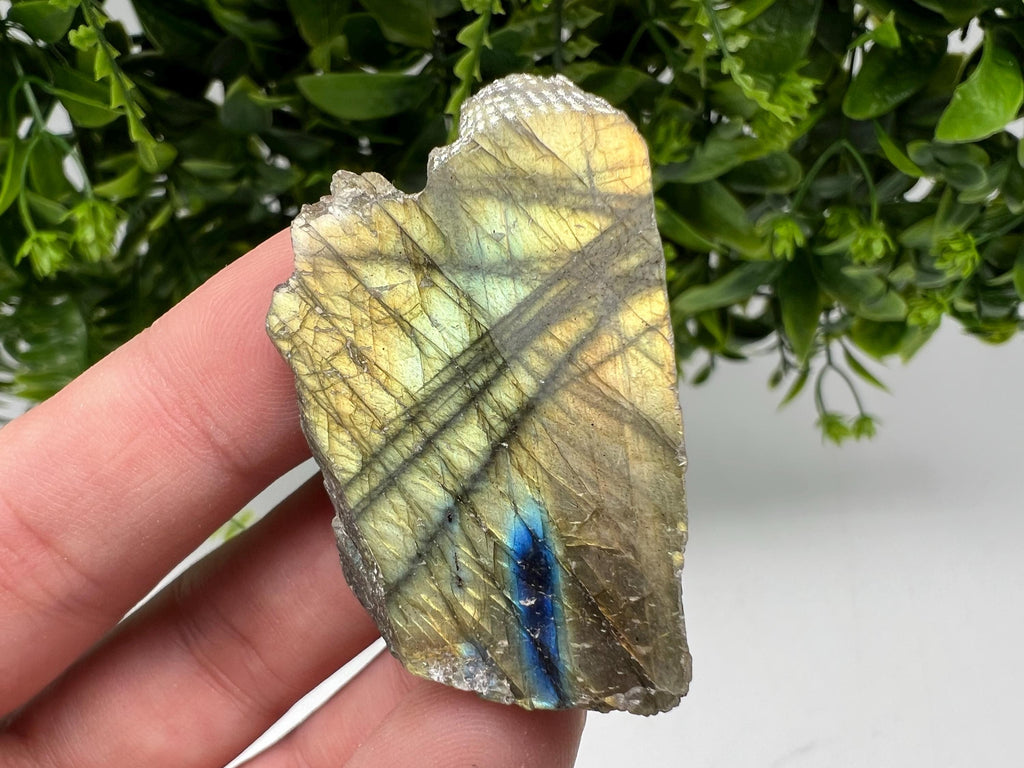 Polished Labradorite Slab: Multifire Crystal Decor - 24 Grams
