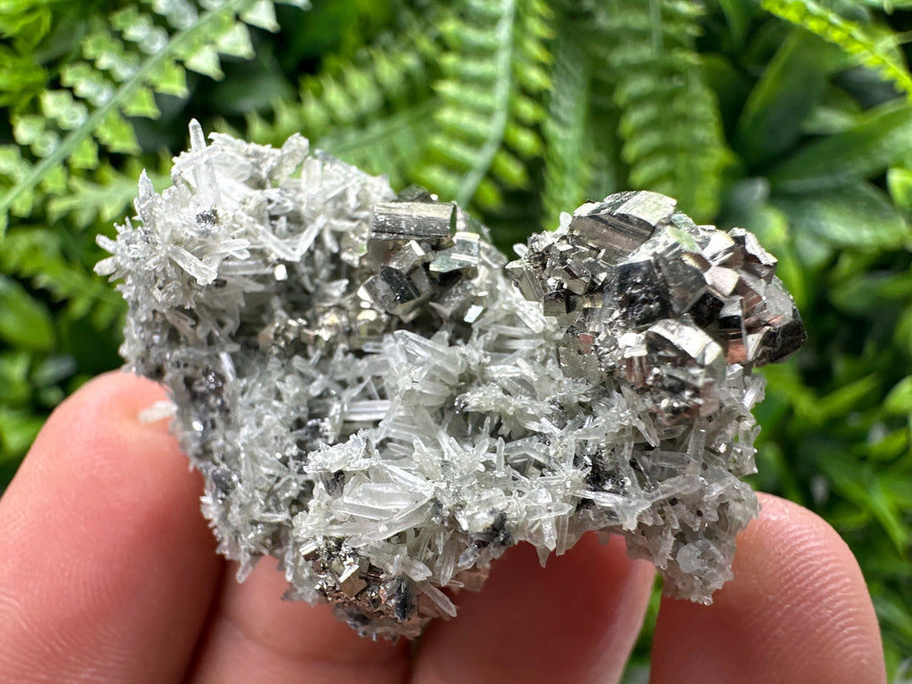 Pyrite on Green Quartz, Borieva Mine Mineral Specimen
