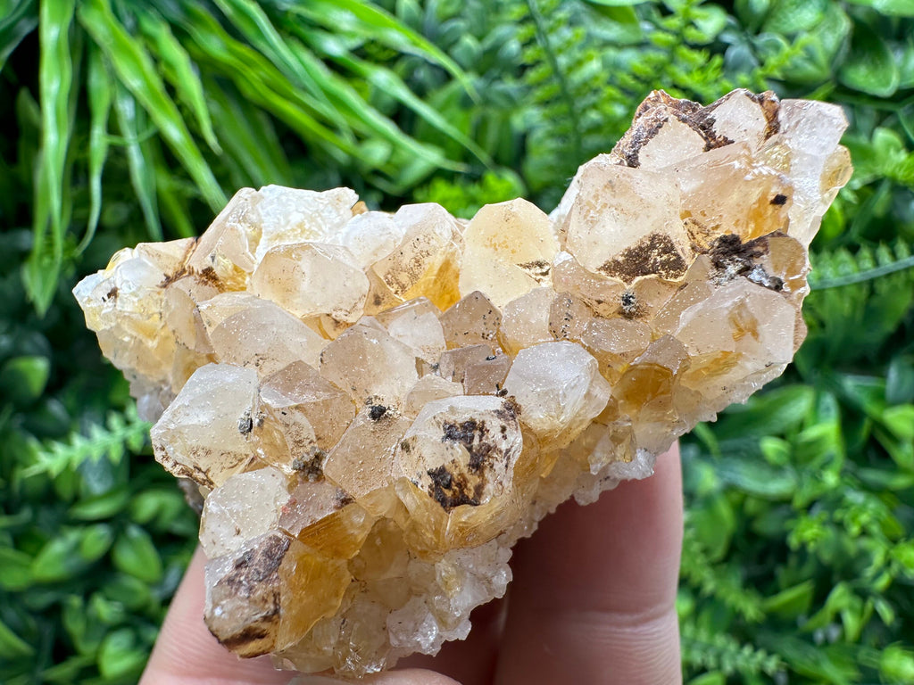 Citrine Crystal Cluster with Hematite Inclusions - Brazil