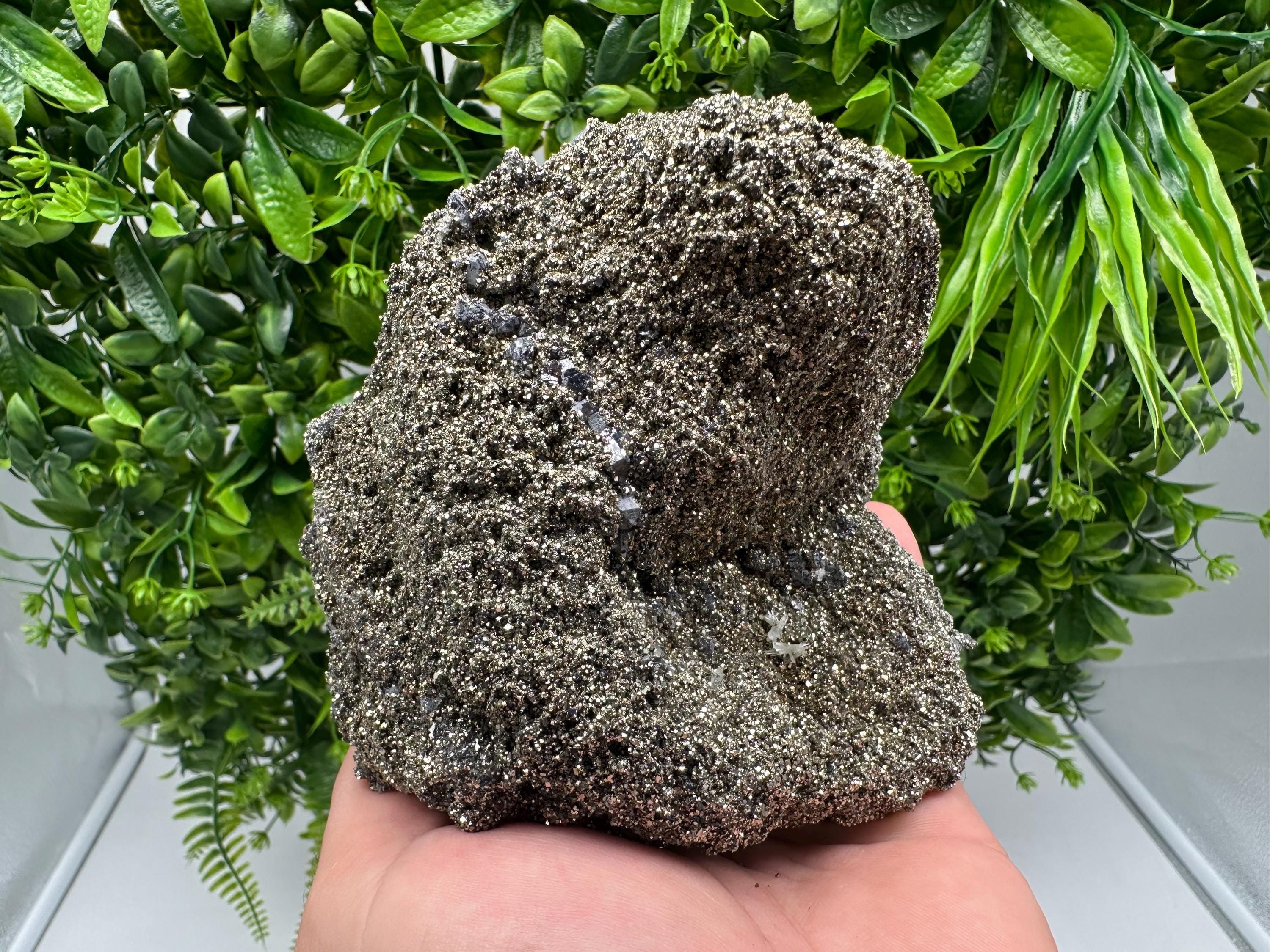 Mirror Galena Pyrite Specimen, Borieva Mine, Bulgaria