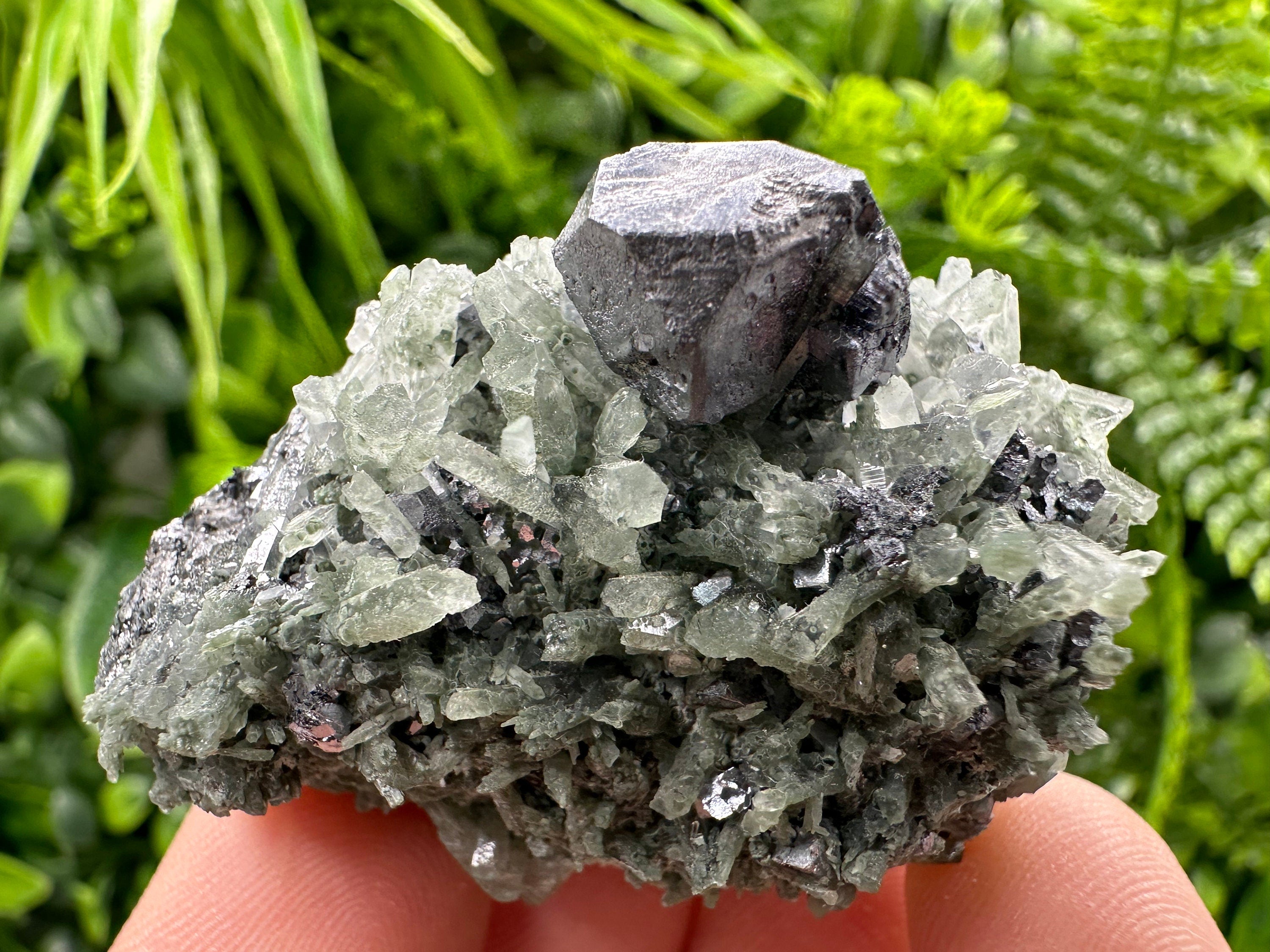 Galena on Green Quartz, Borieva Mine Mineral Specimen