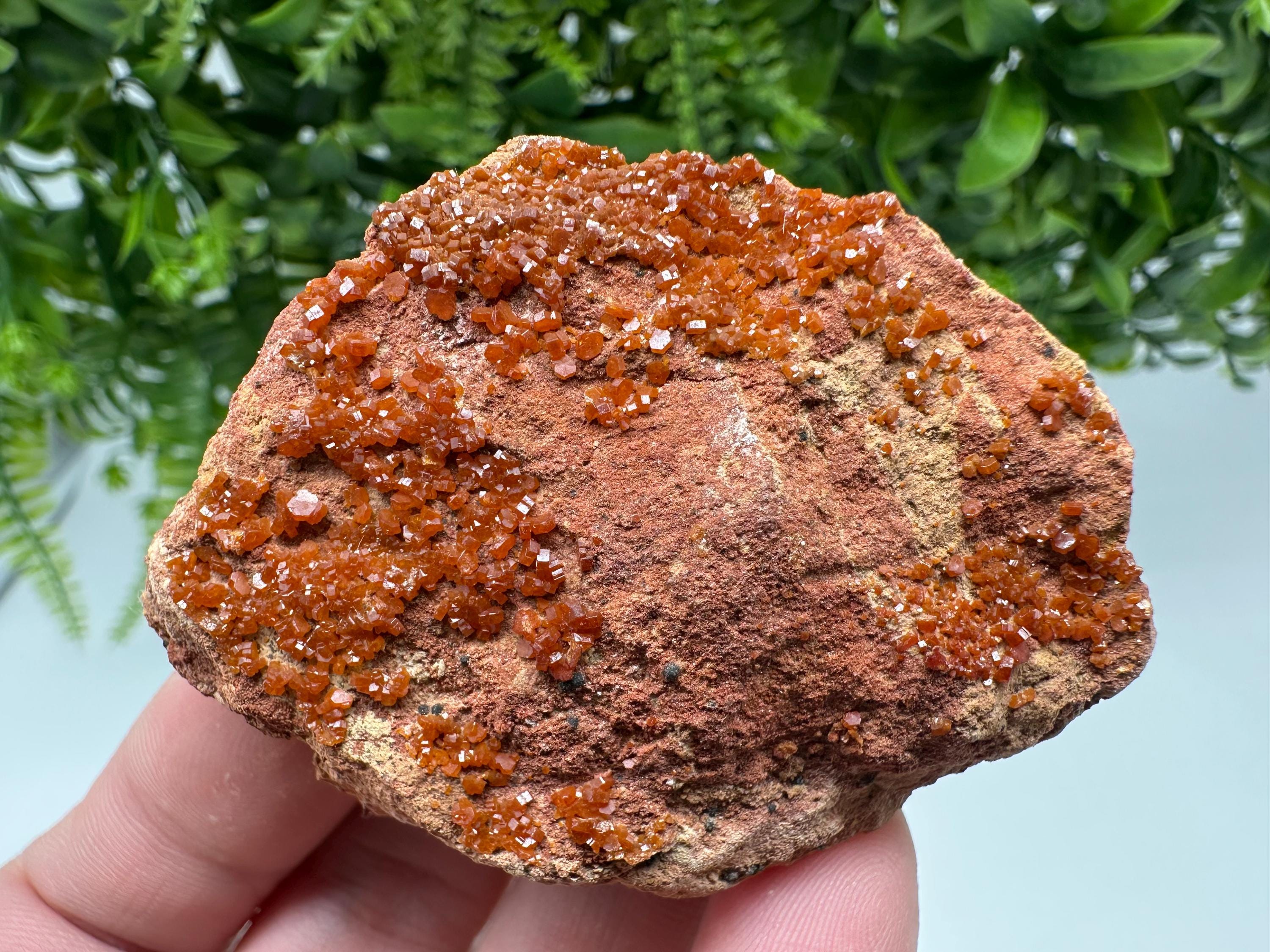 Red Vanadinite on Matrix from Marocco,crystal minerals Speciment cluster Vanadinite crystal Vanadinite Geology Vanadinite cluster minerals