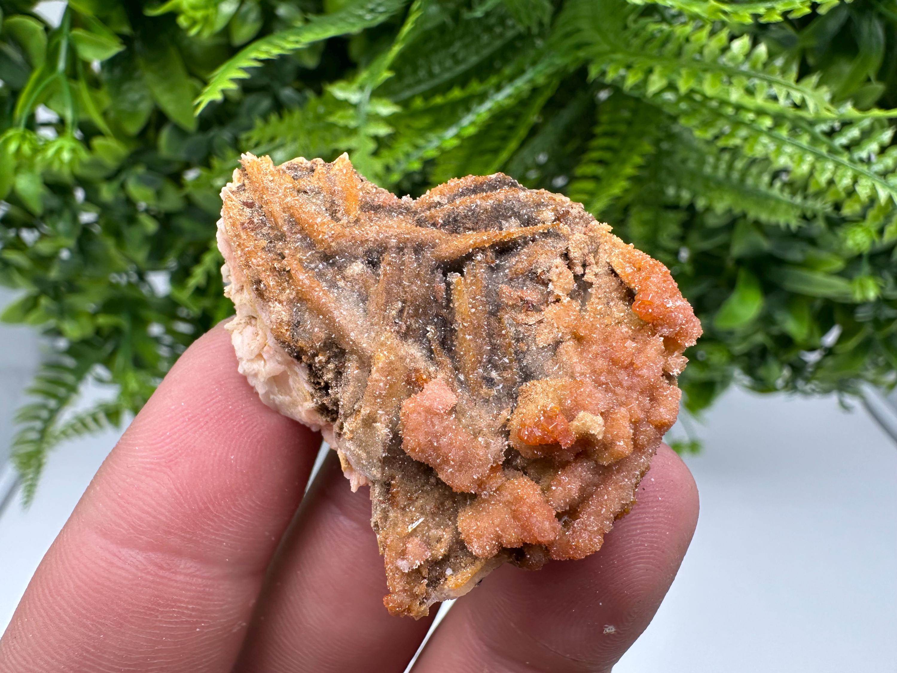 Red Vanadinite on Barite, Morocco Crystal Specimen