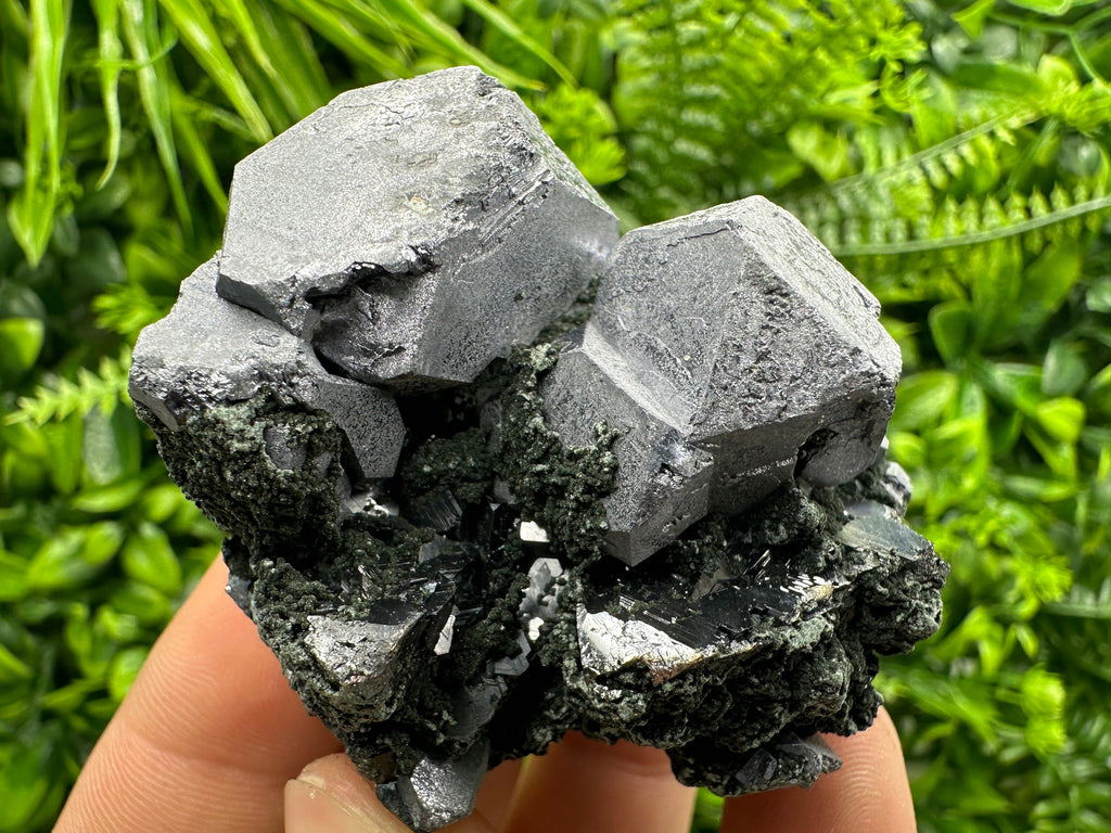 Galena Sphalerite Chlorite Crystal Cluster, Bulgaria Mineral Specimen