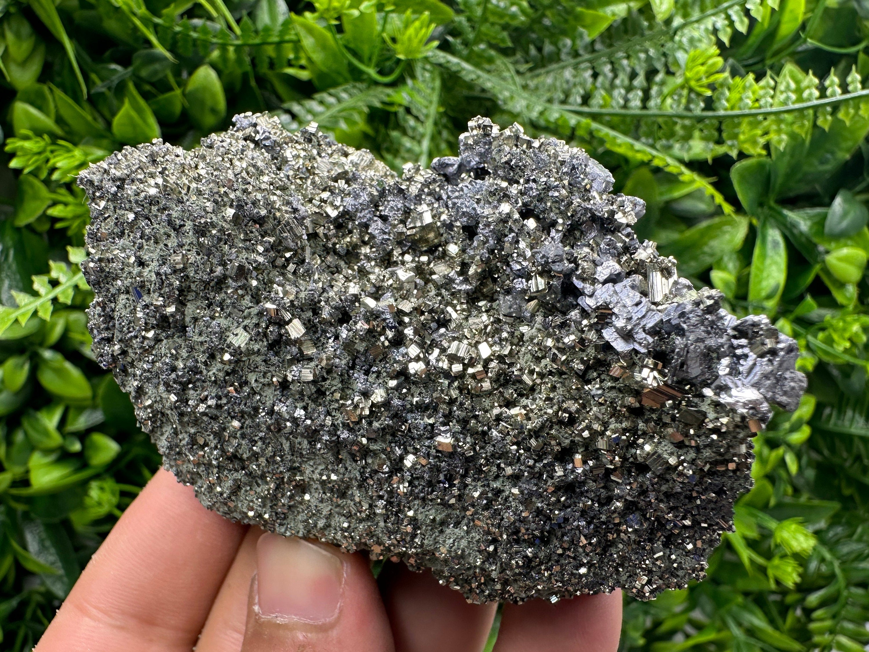 Galena on Pyrite Specimen: Borieva Mine, Bulgaria