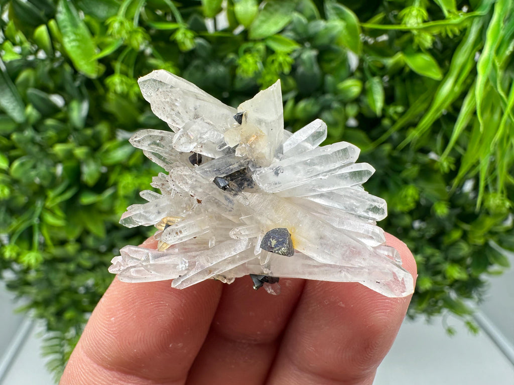 Wonderful Sphalerite Chalcopyrite on  Quartz whit Hematite feom 9 th September mine,Bulgaria,natural,collection mineral specimen,gift